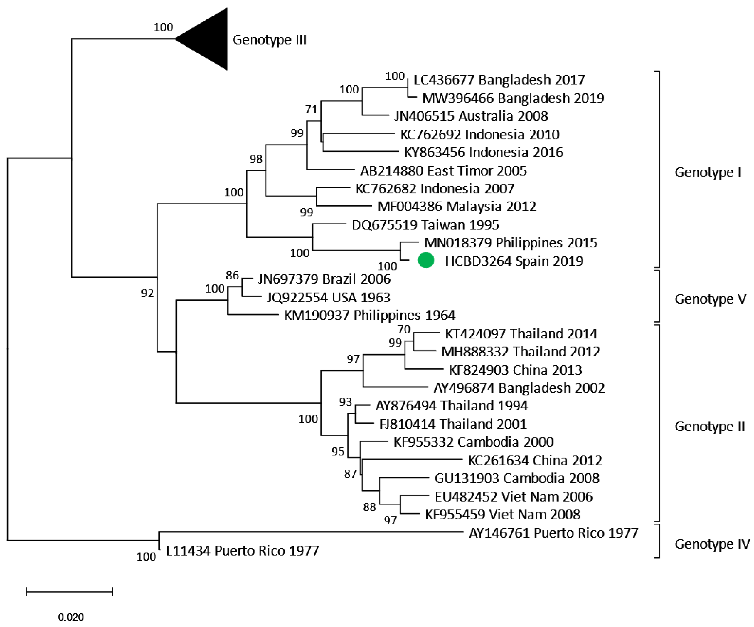 Viruses 17 00621 g007
