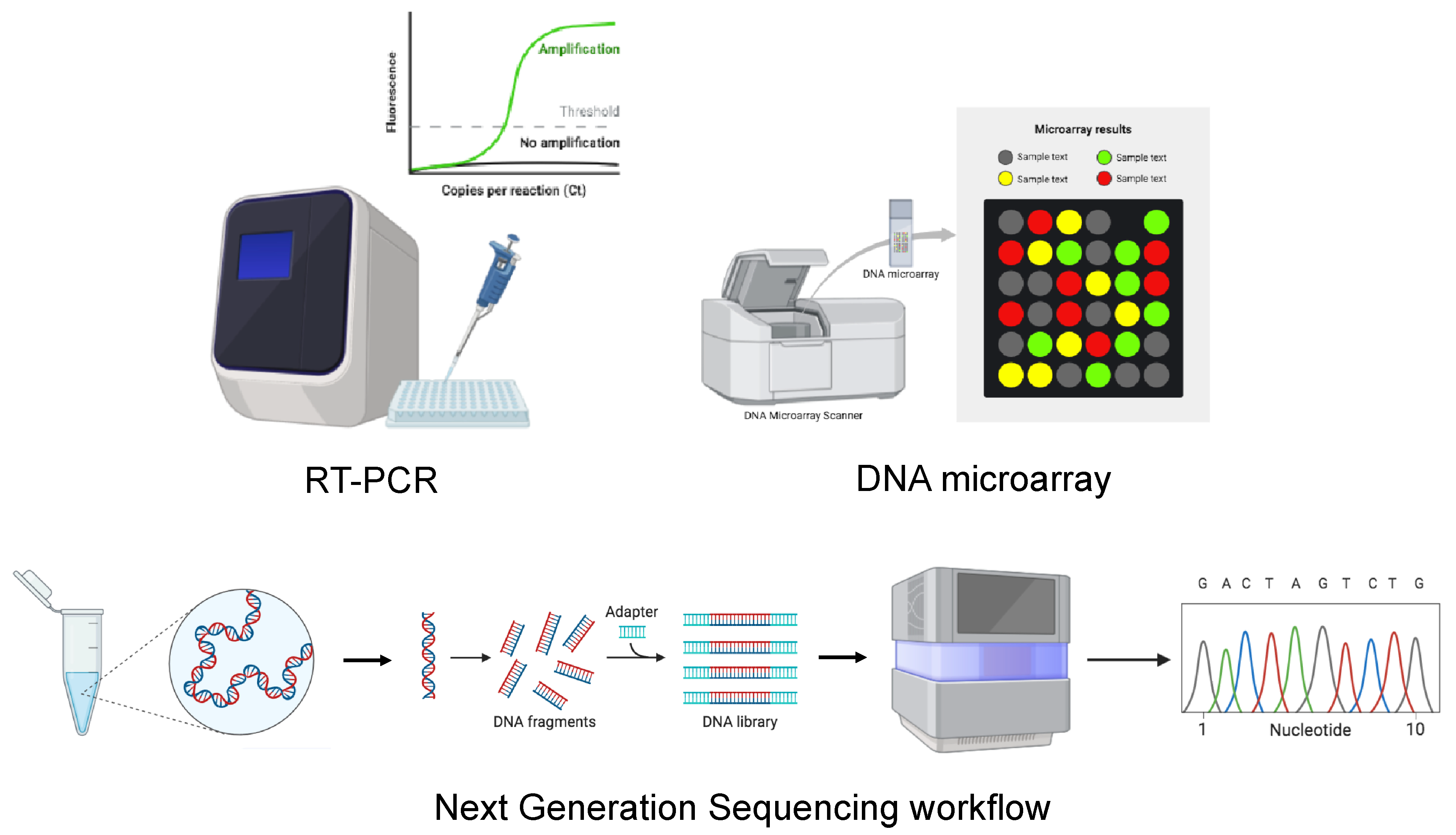 Viruses 17 00622 g004
