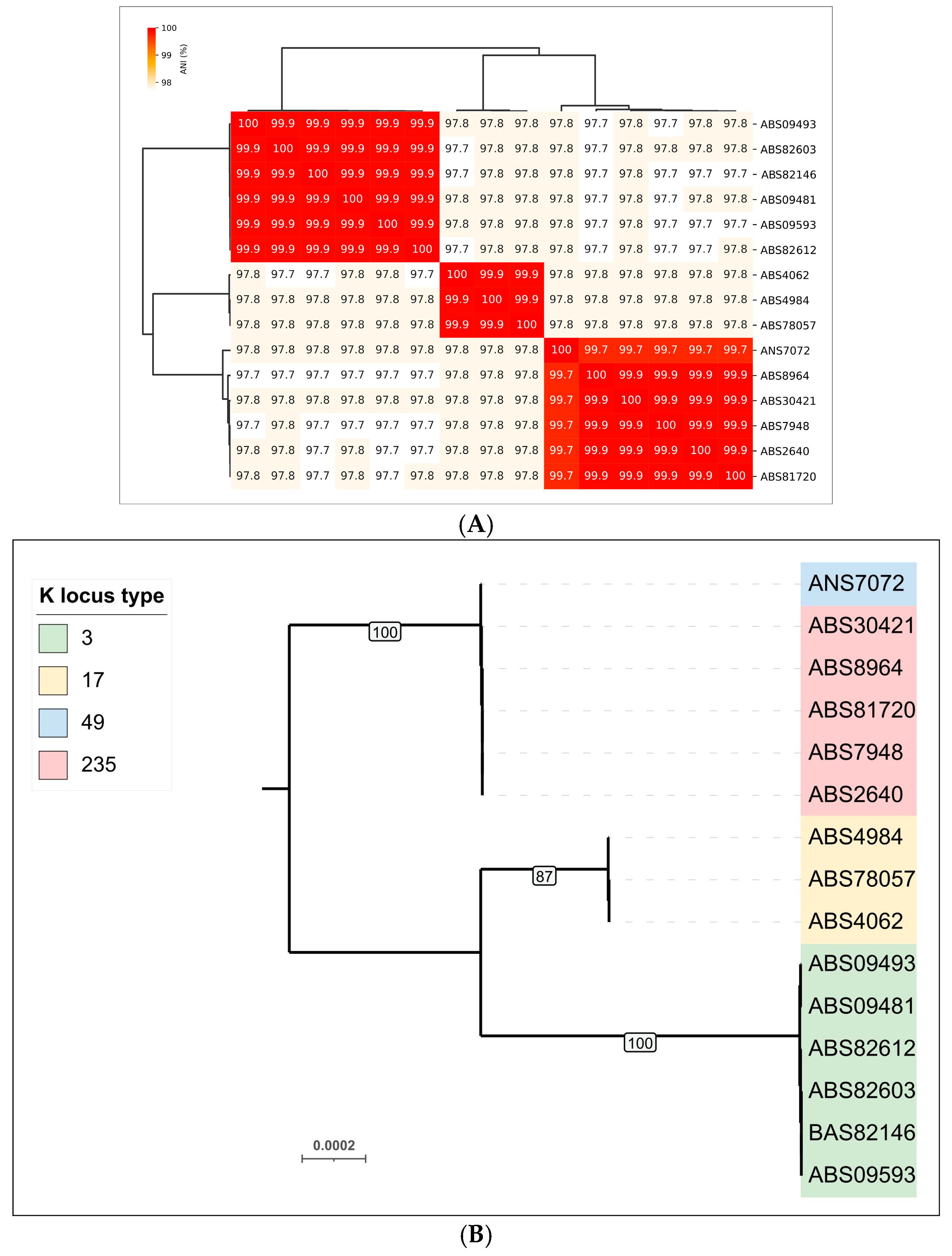 Viruses 17 00623 g001