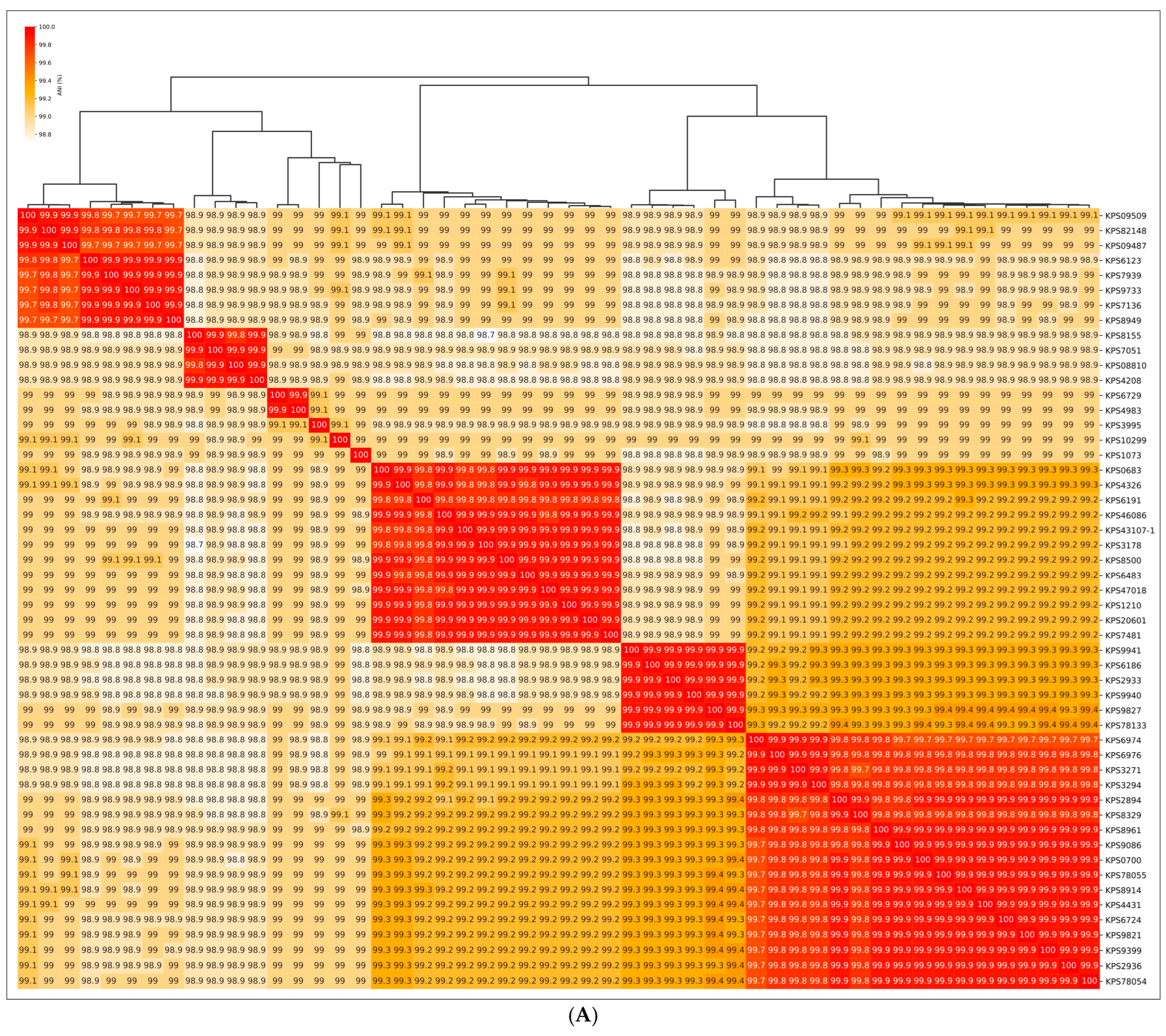 Viruses 17 00623 g002a