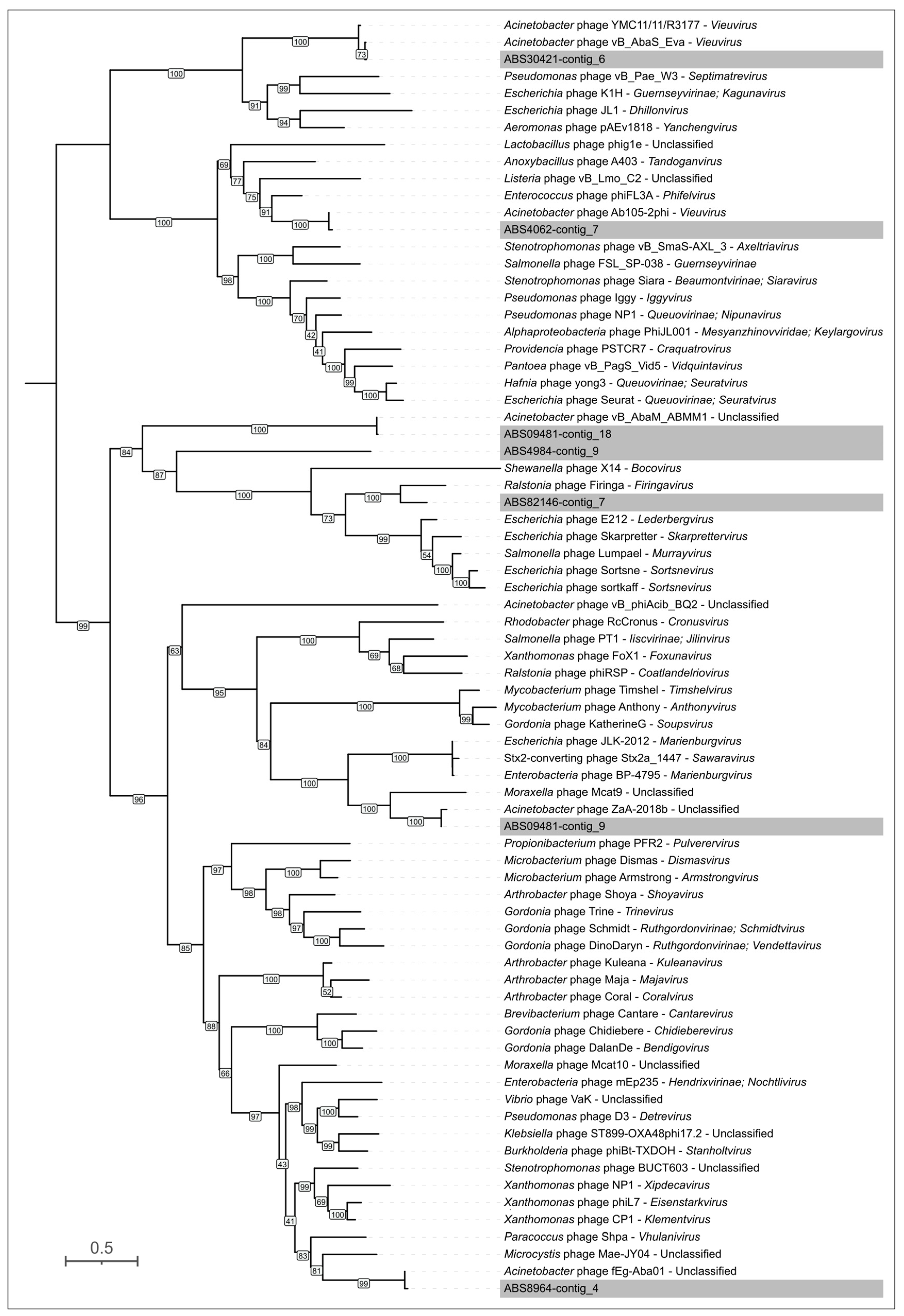 Viruses 17 00623 g005