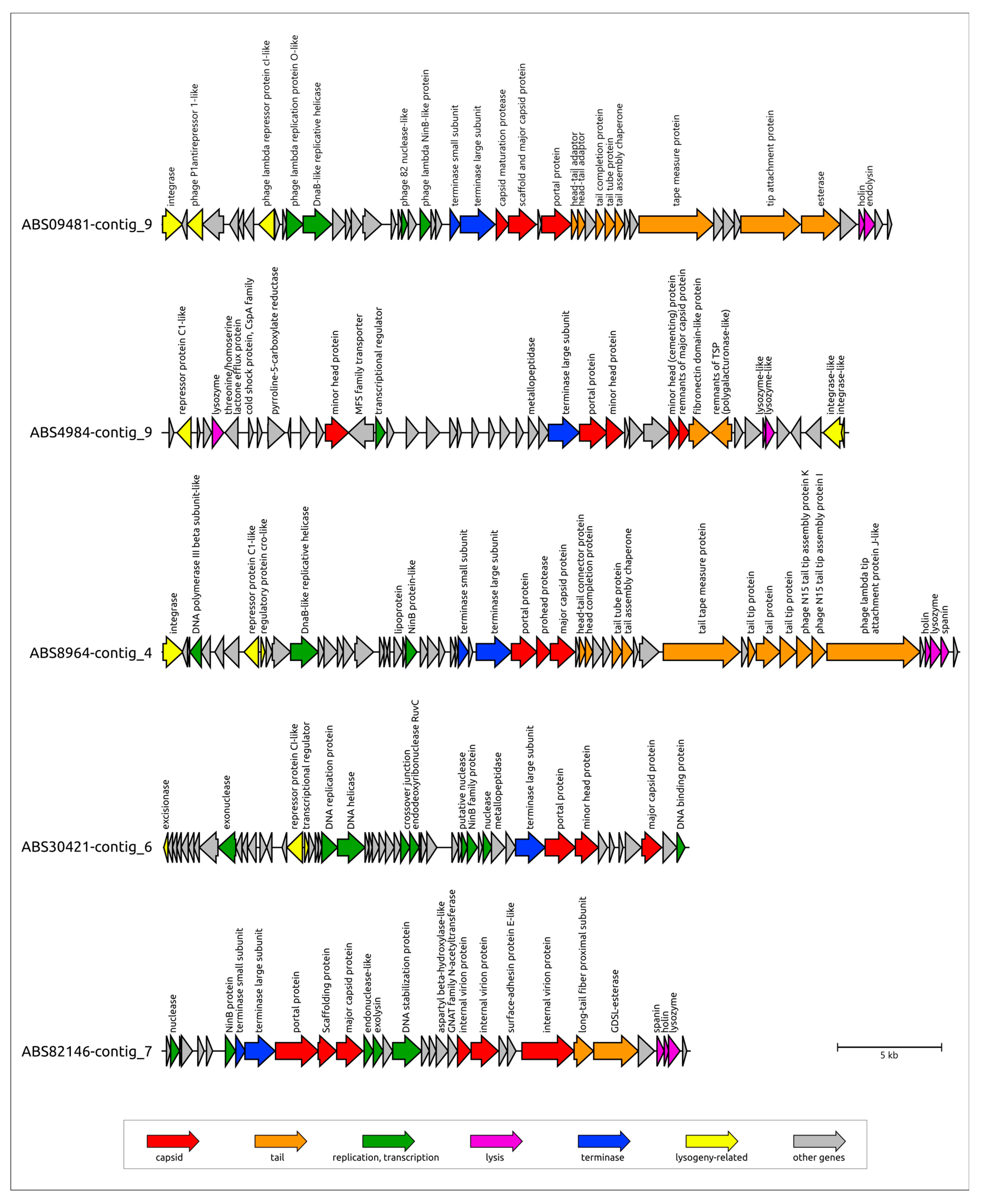 Viruses 17 00623 g006a