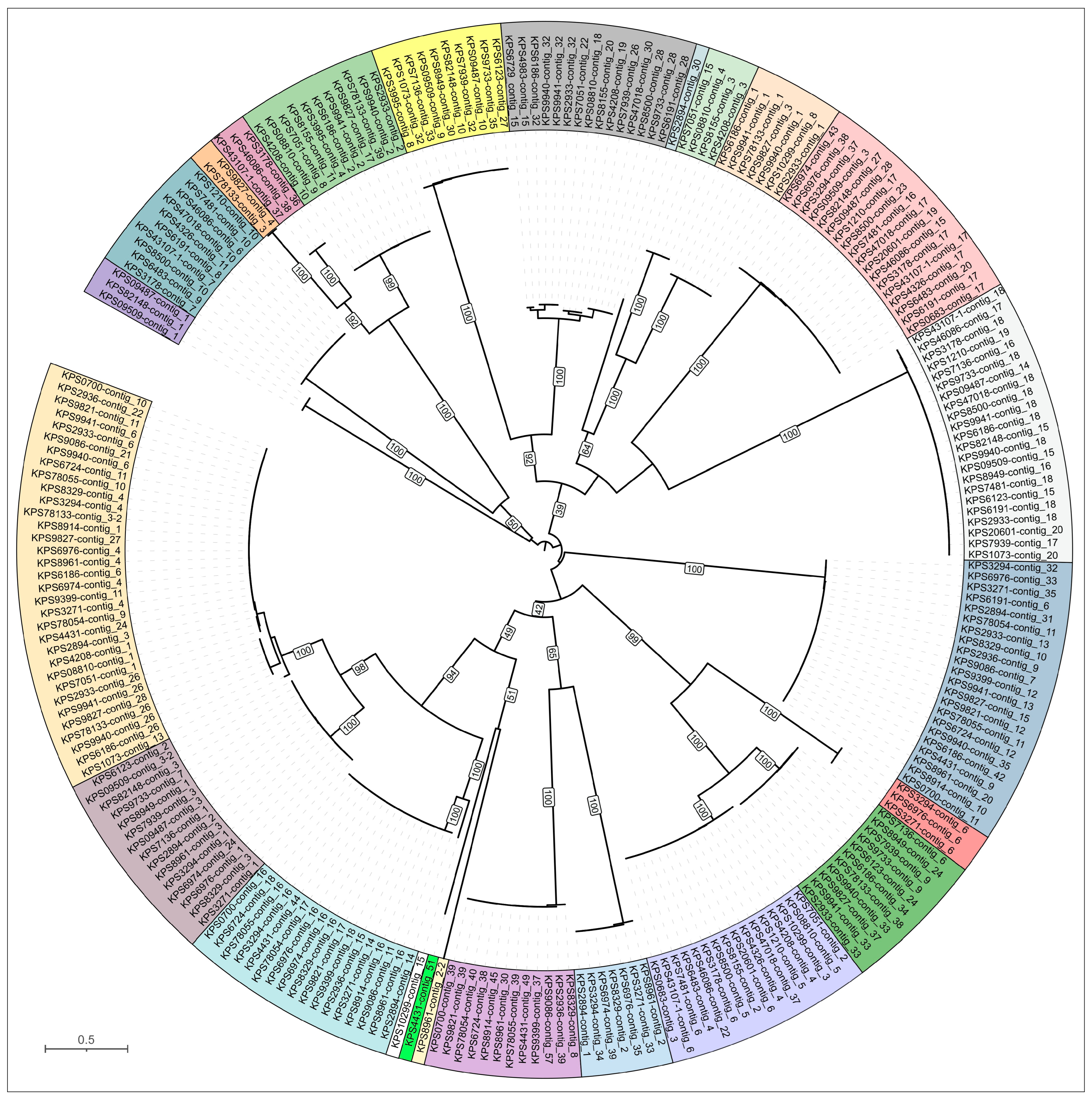 Viruses 17 00623 g007