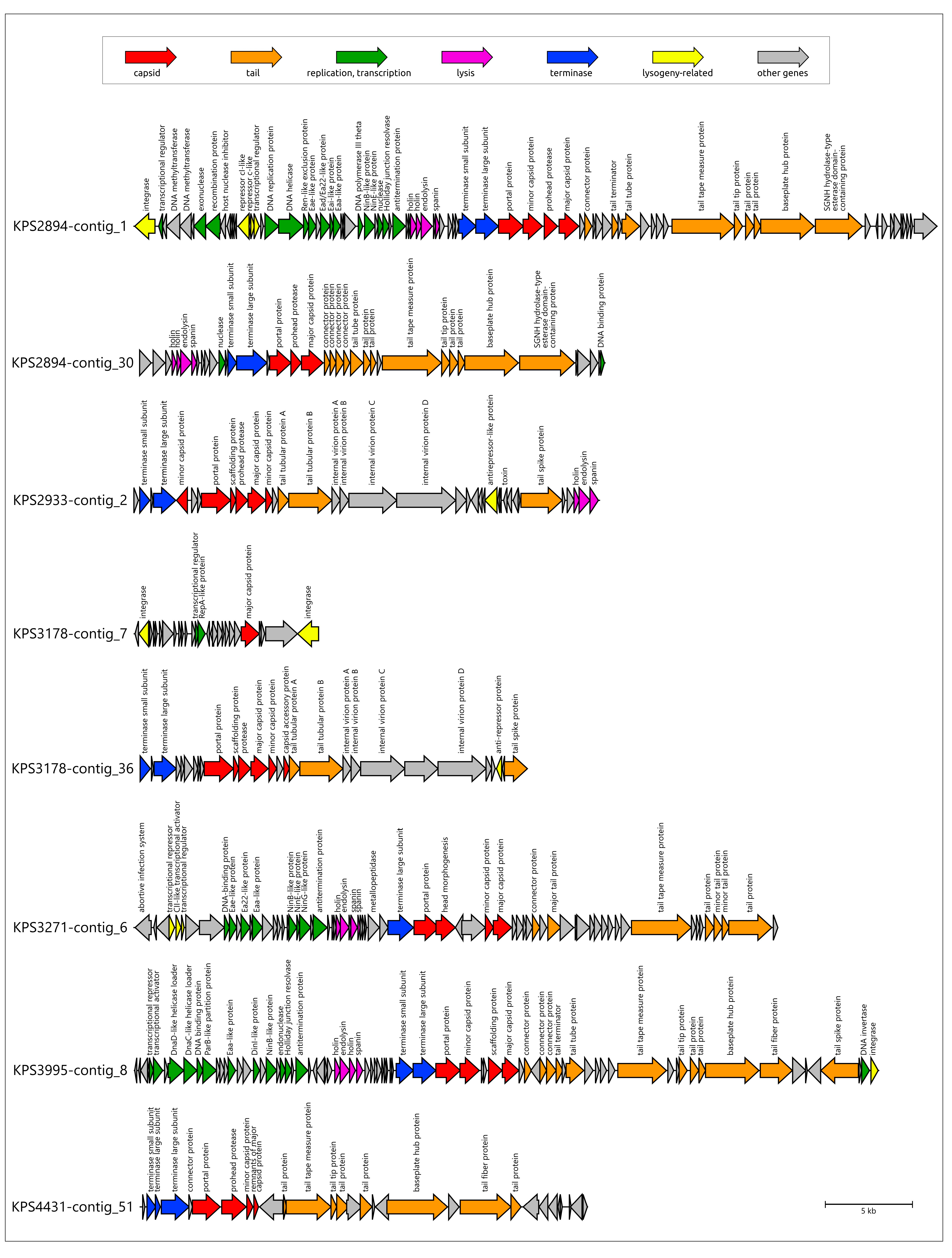 Viruses 17 00623 g009a