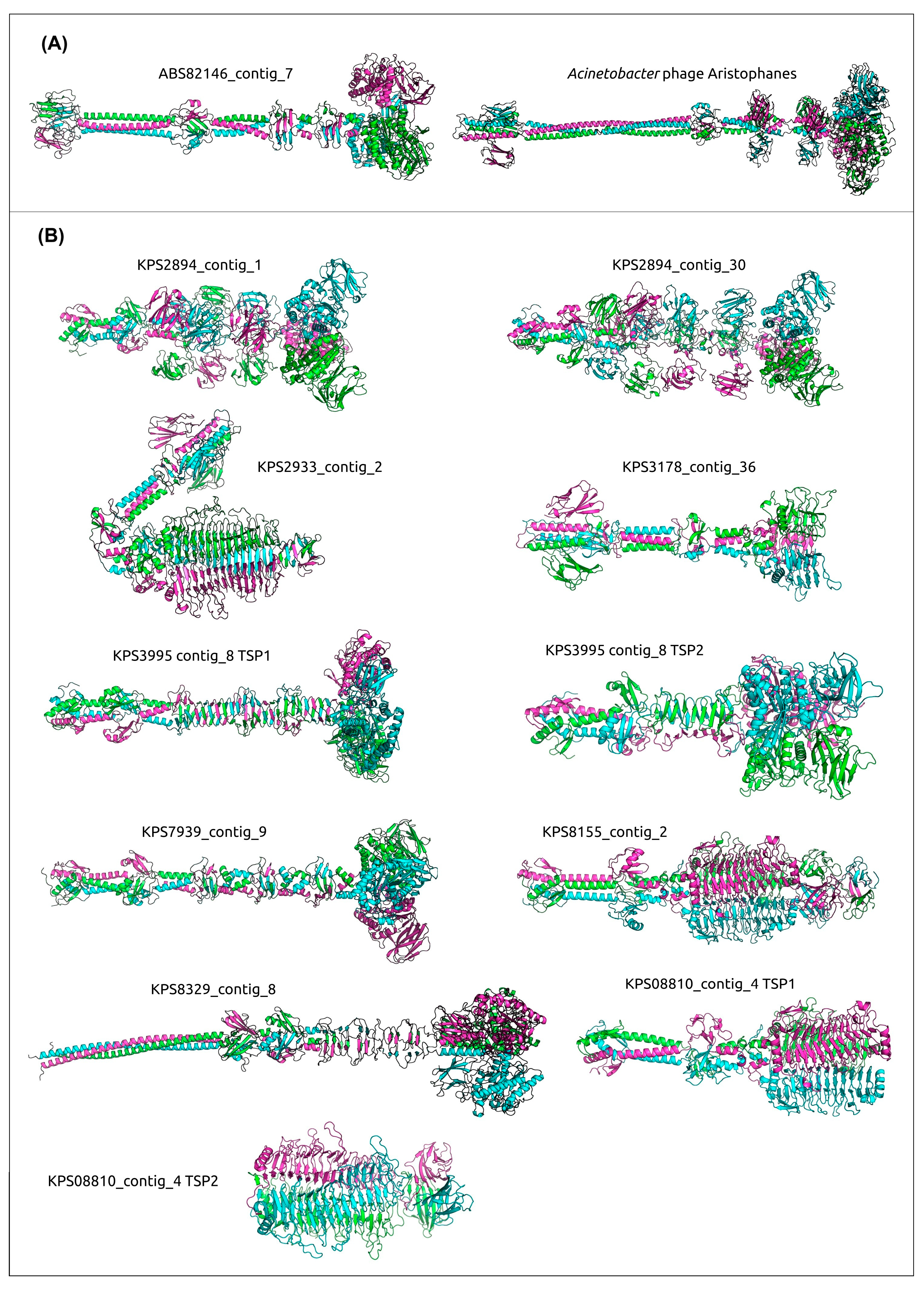 Viruses 17 00623 g010