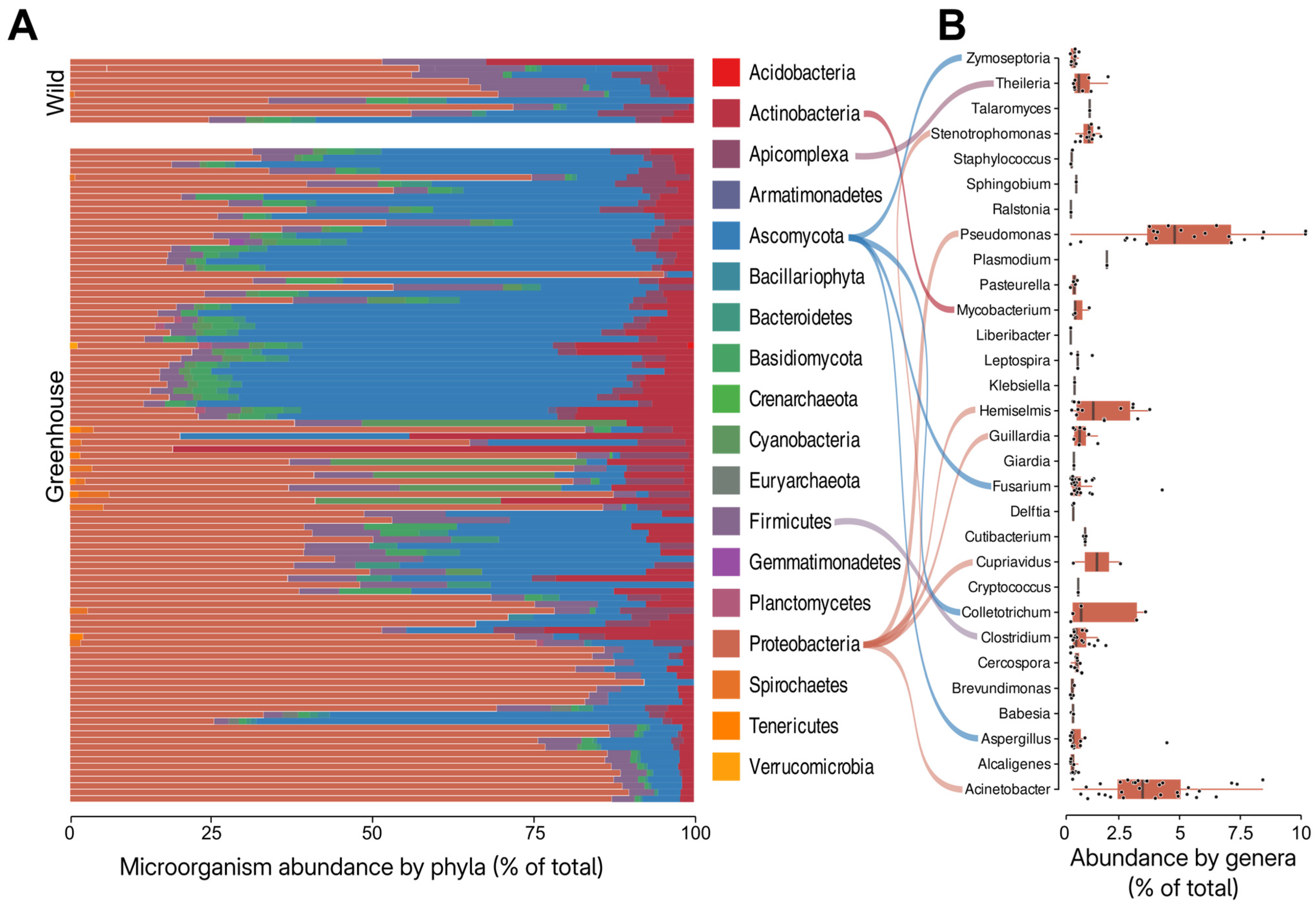 Viruses 17 00624 g001