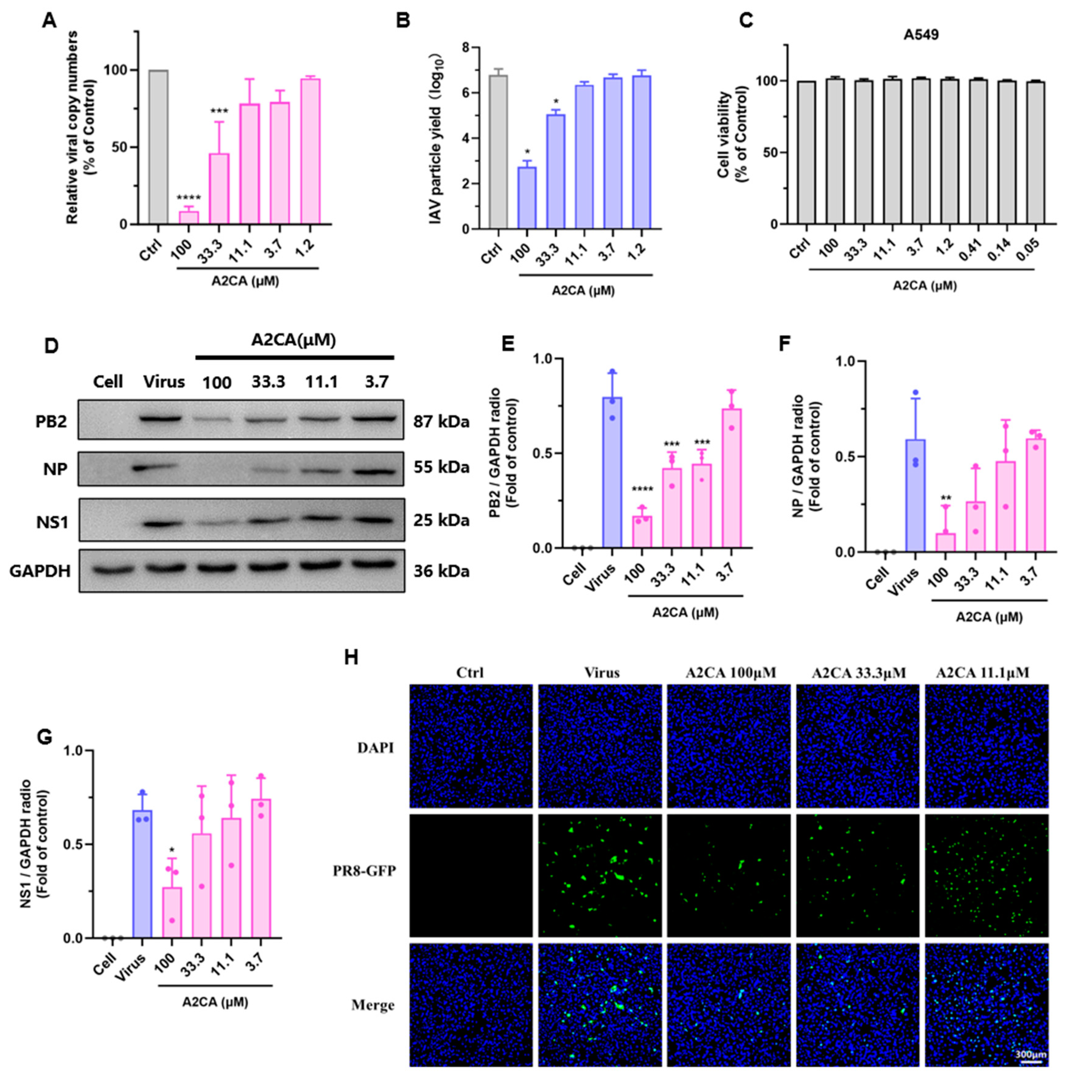 Viruses 17 00628 g002