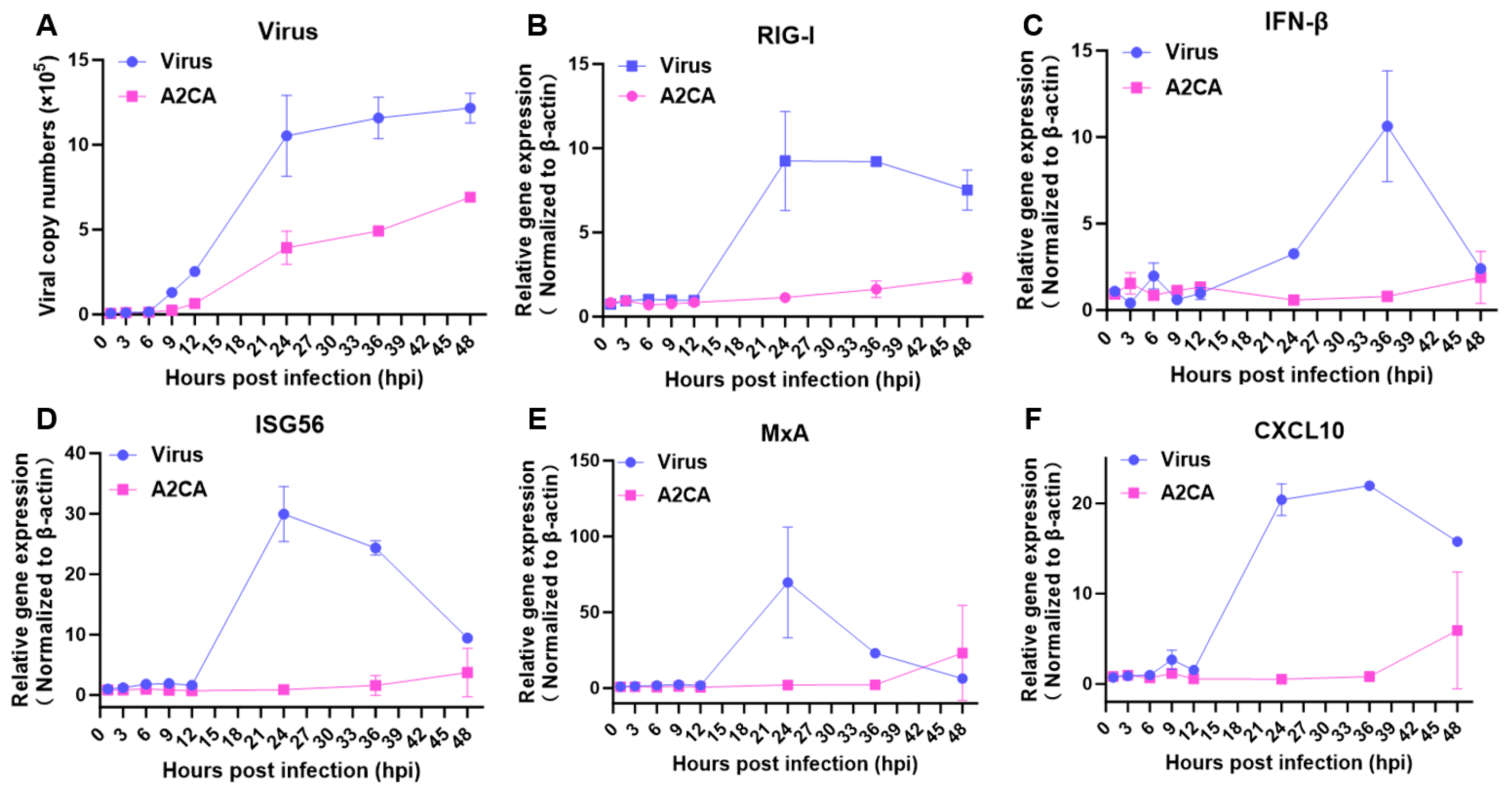 Viruses 17 00628 g005