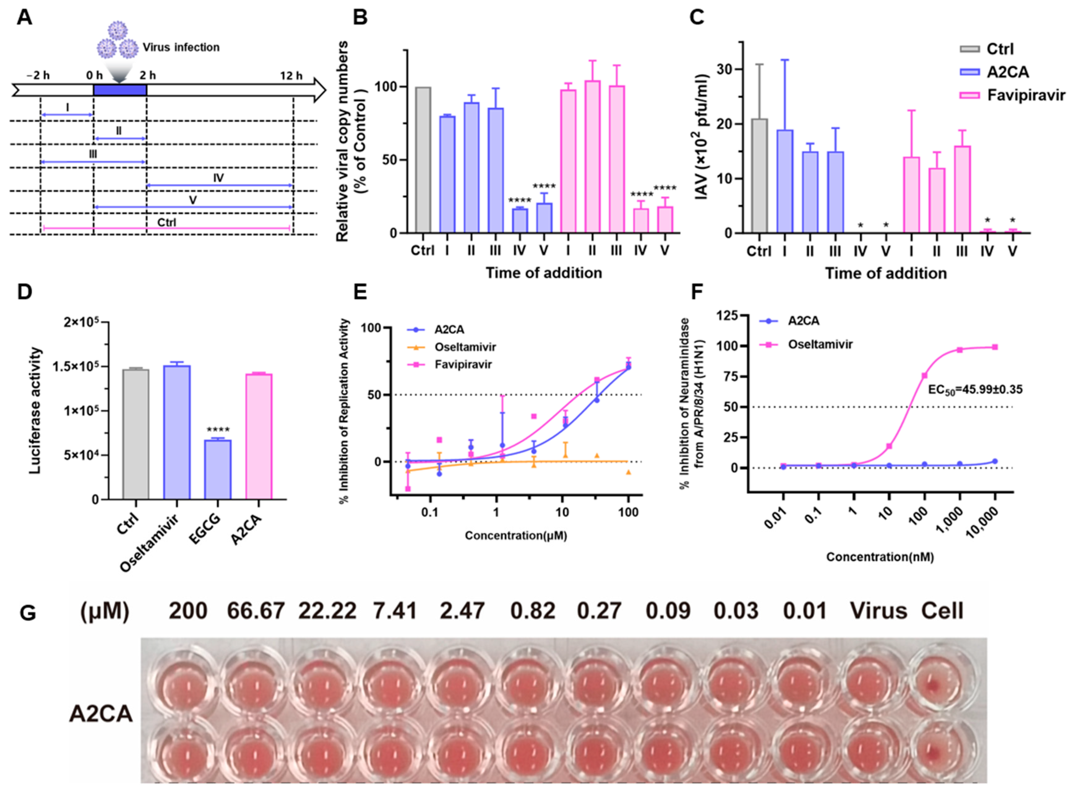 Viruses 17 00628 g006