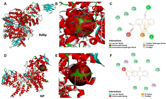 Anthraquinone-2-Carboxylic Acid Is a Potential Antiviral Candidate