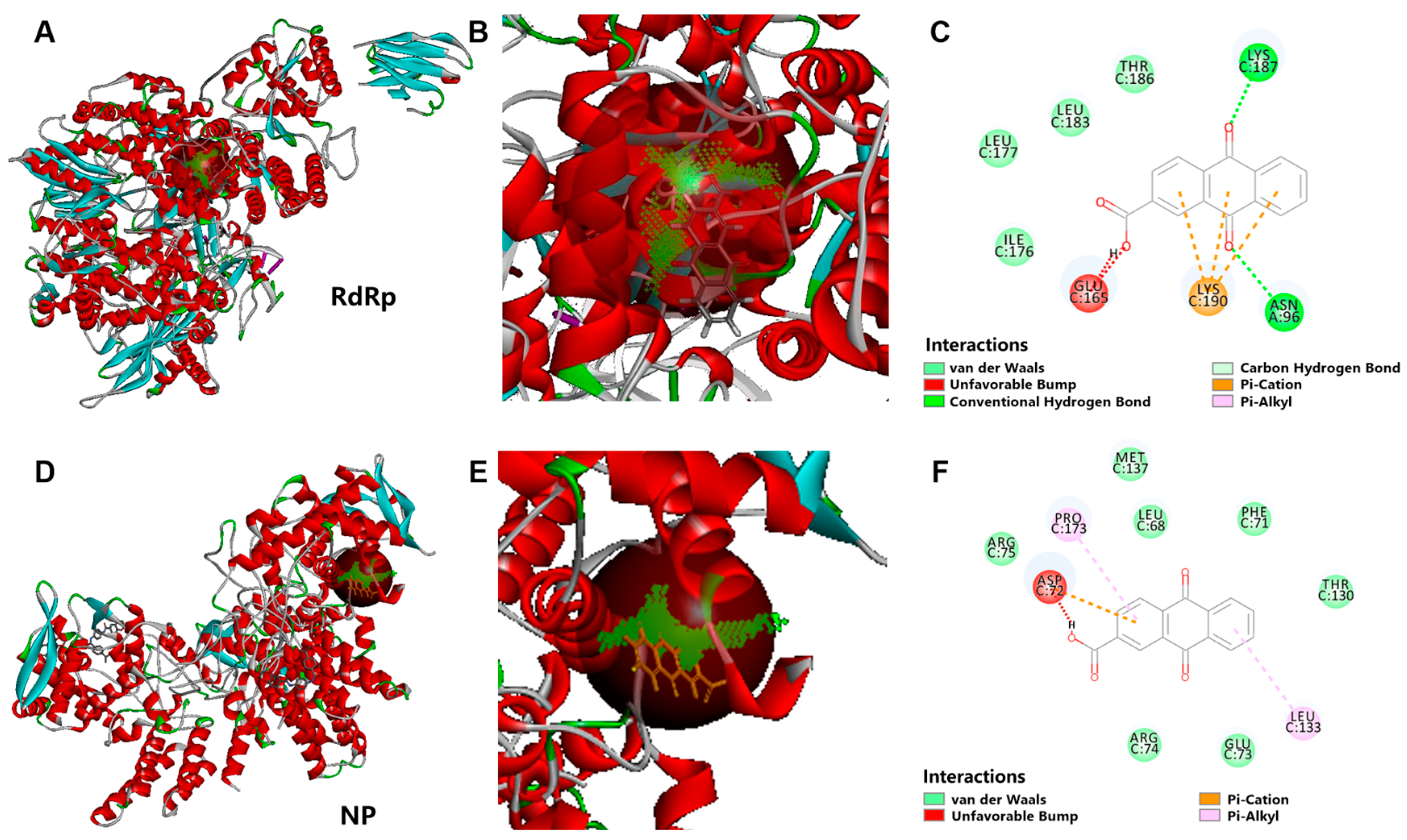 Viruses 17 00628 g007