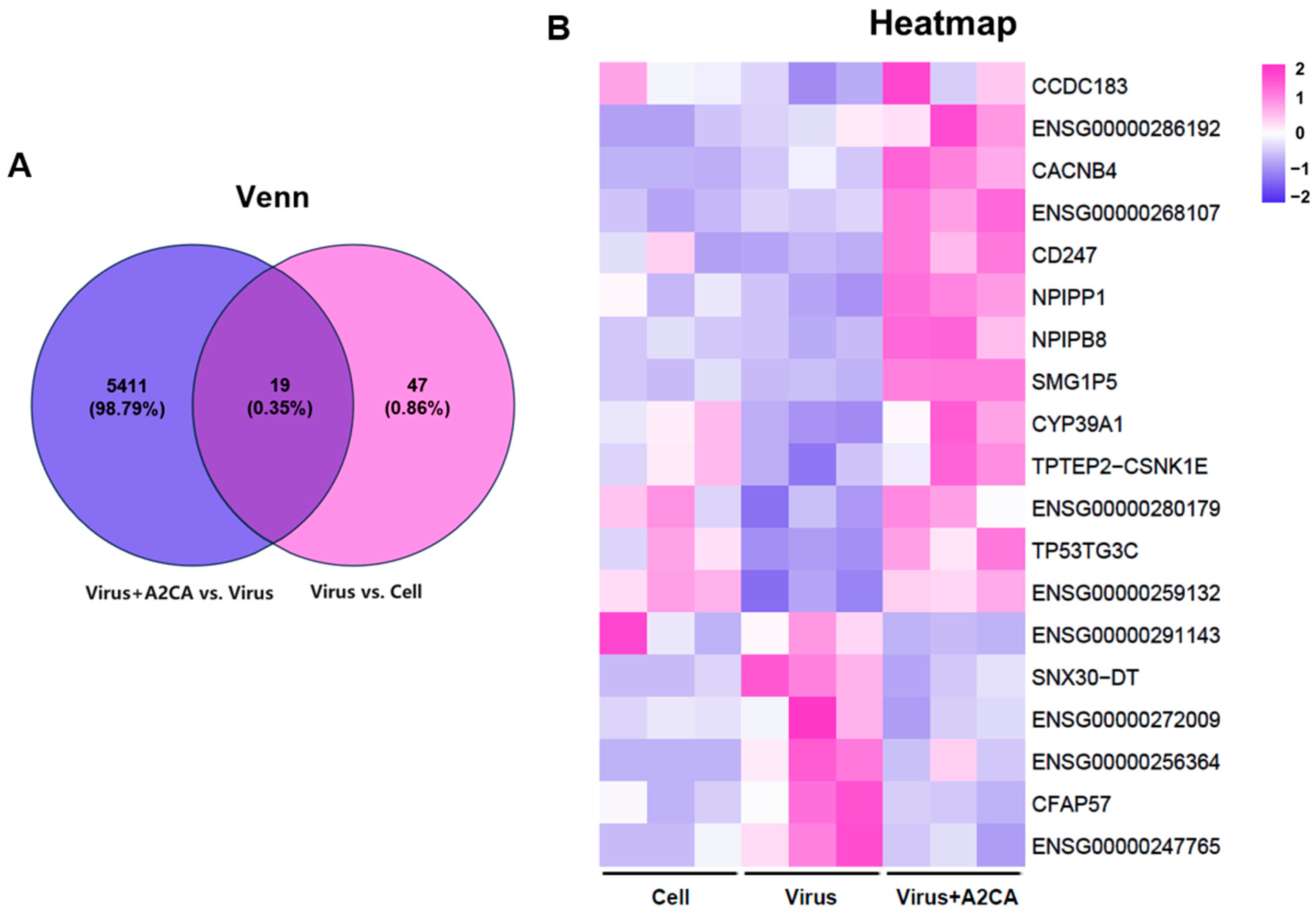 Viruses 17 00628 g008