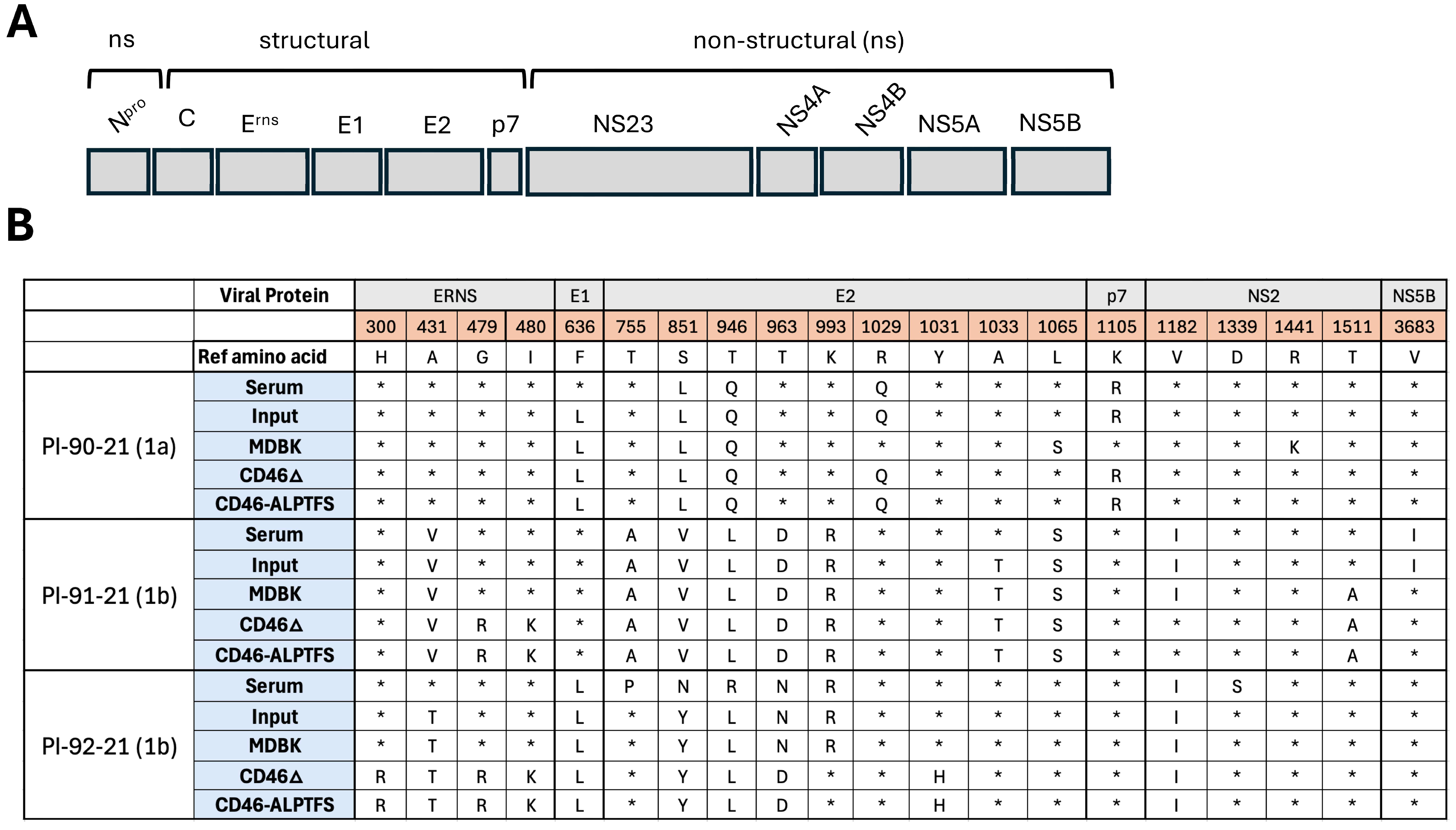 Viruses 17 00634 g002