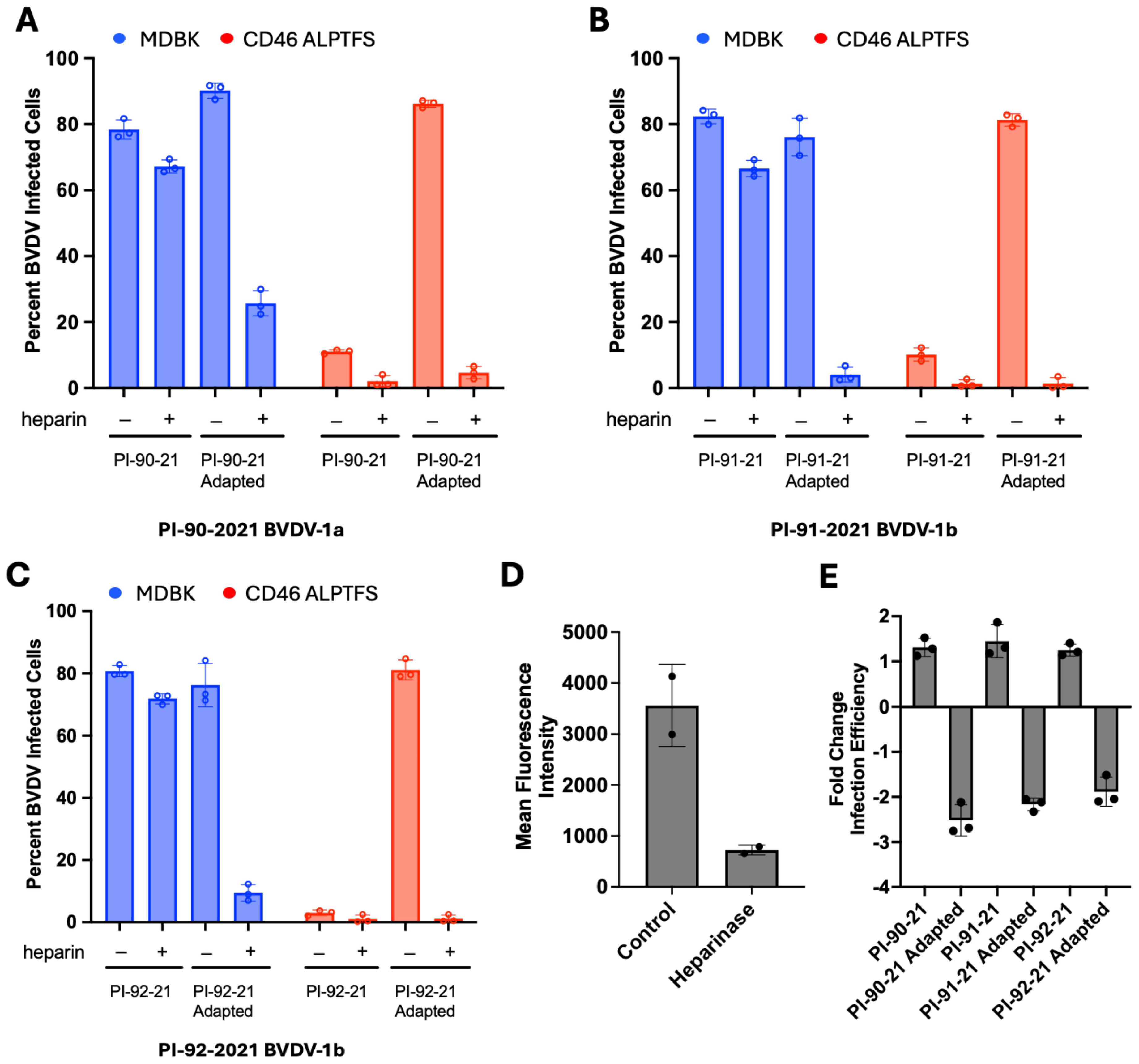 Viruses 17 00634 g003