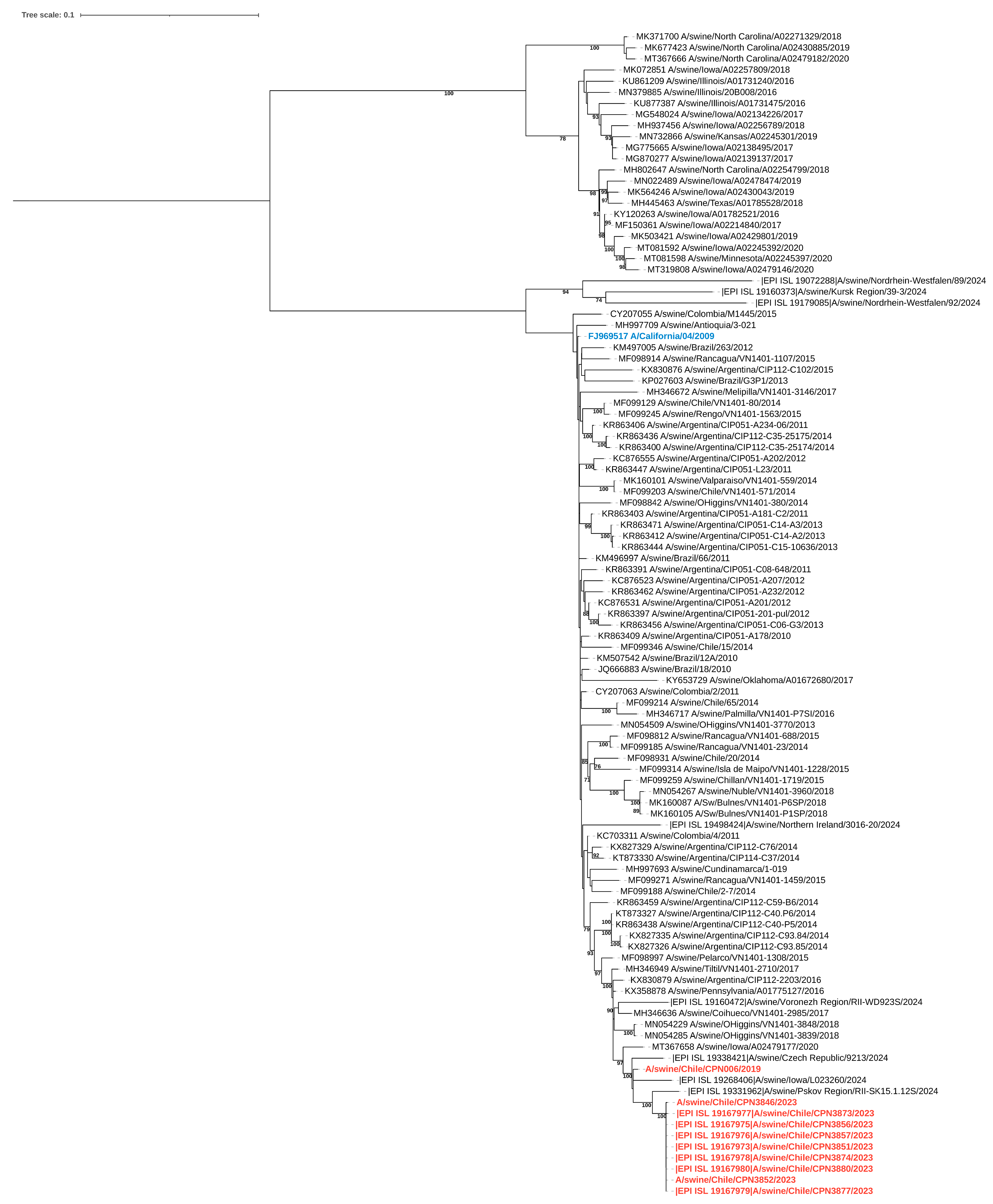 Viruses 17 00635 g004