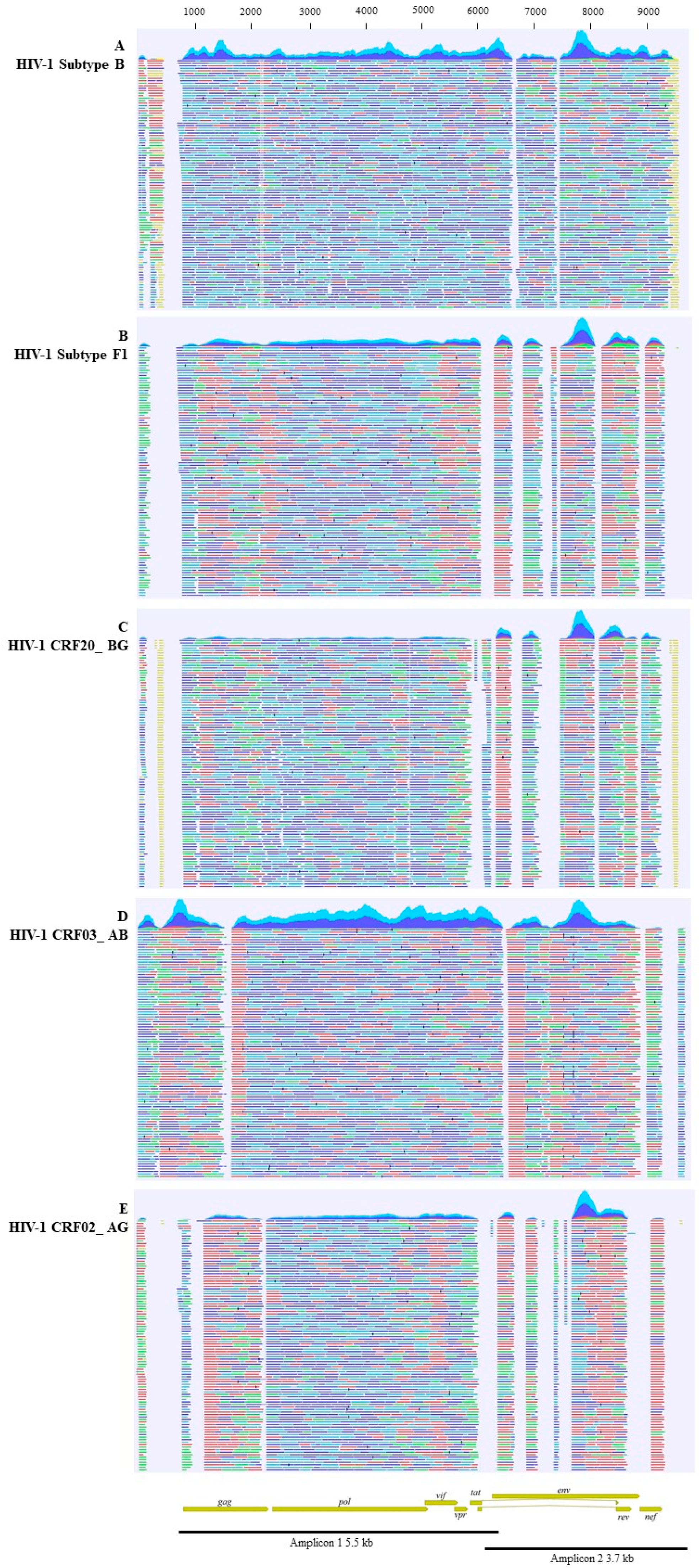 Viruses 17 00636 g001