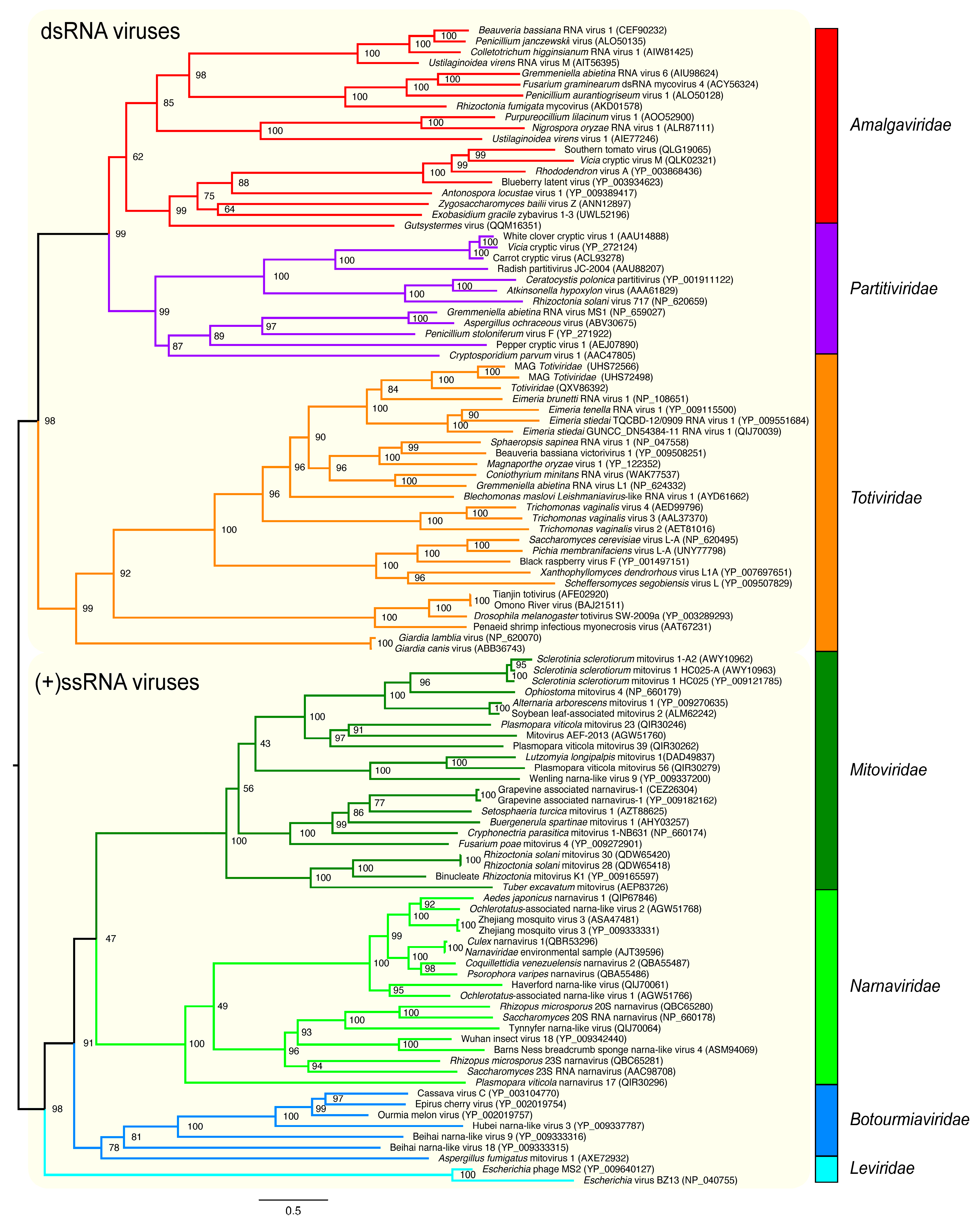 Viruses 17 00642 g002