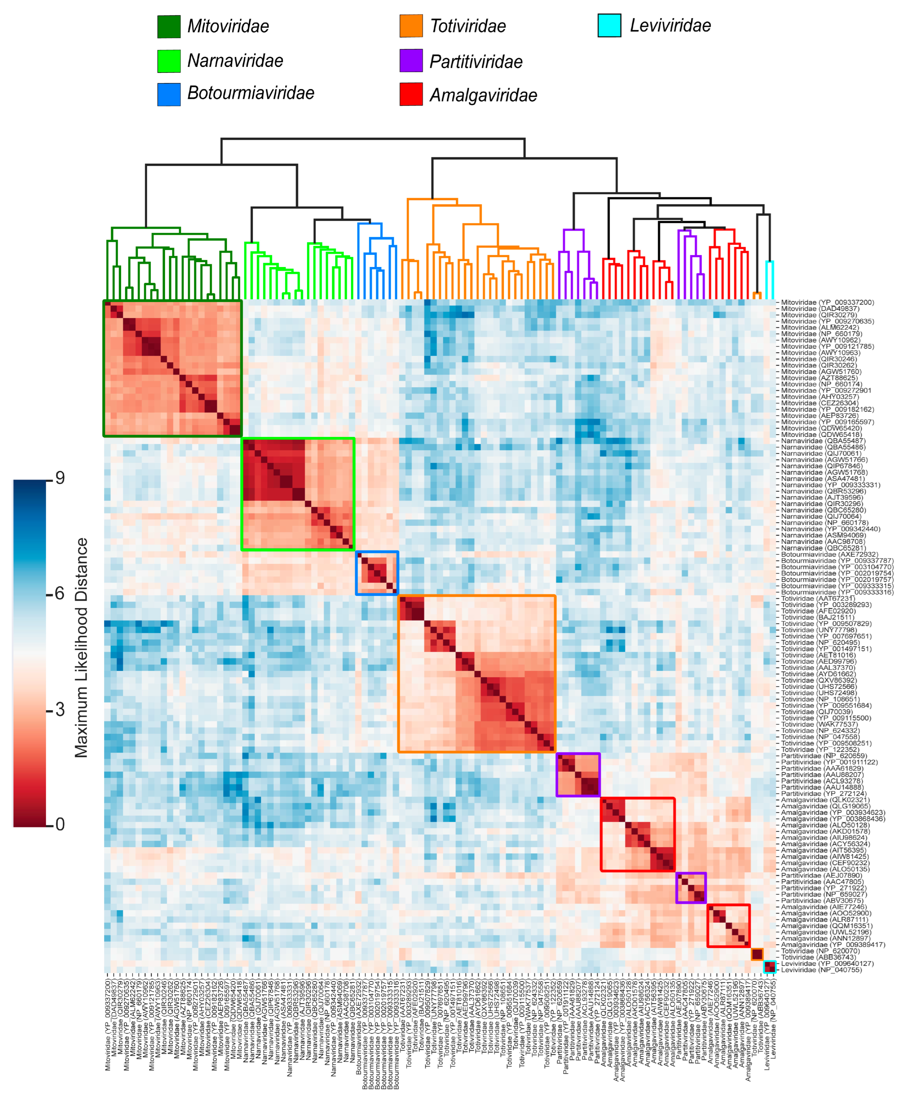 Viruses 17 00642 g003