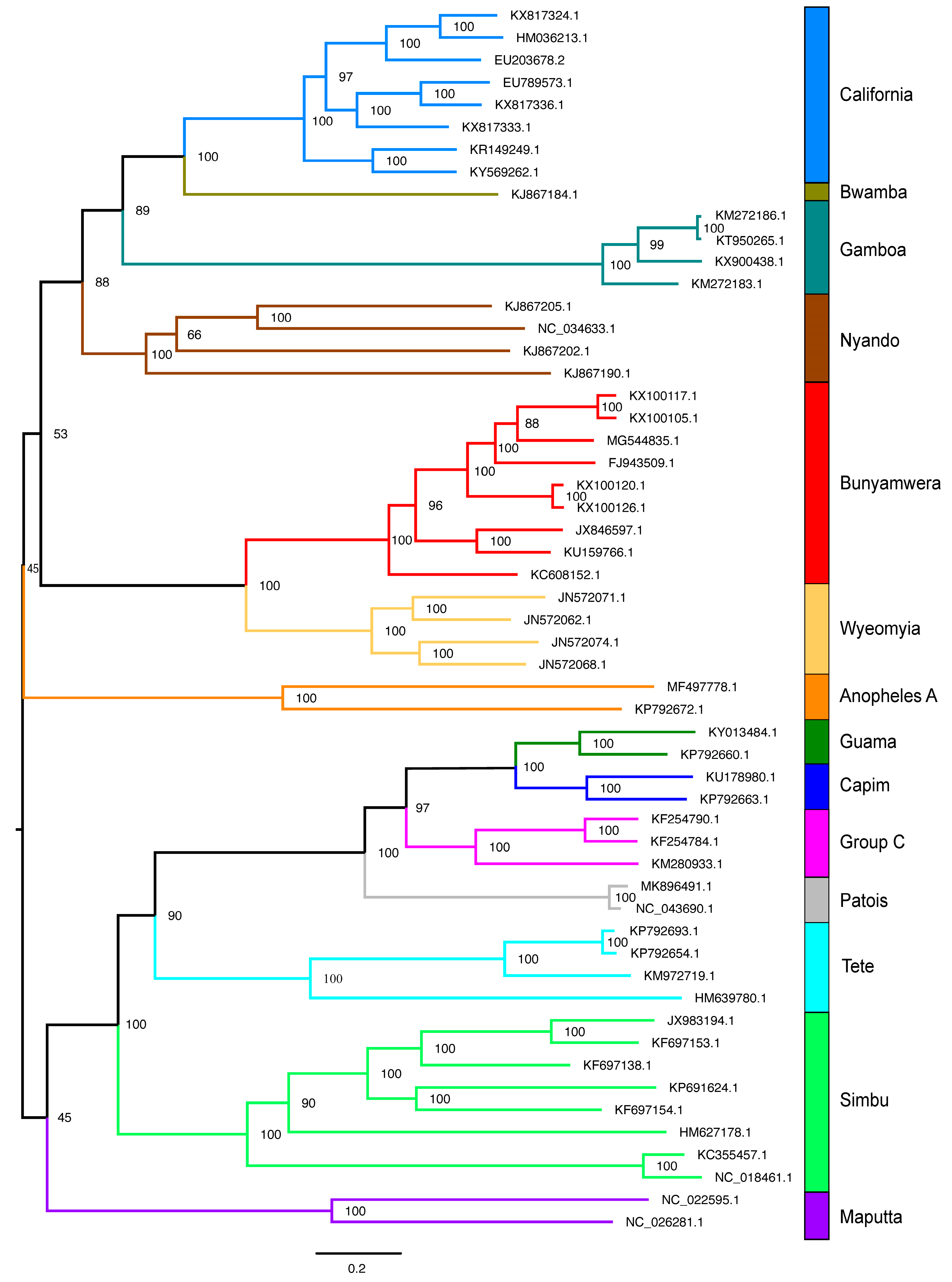 Viruses 17 00642 g007