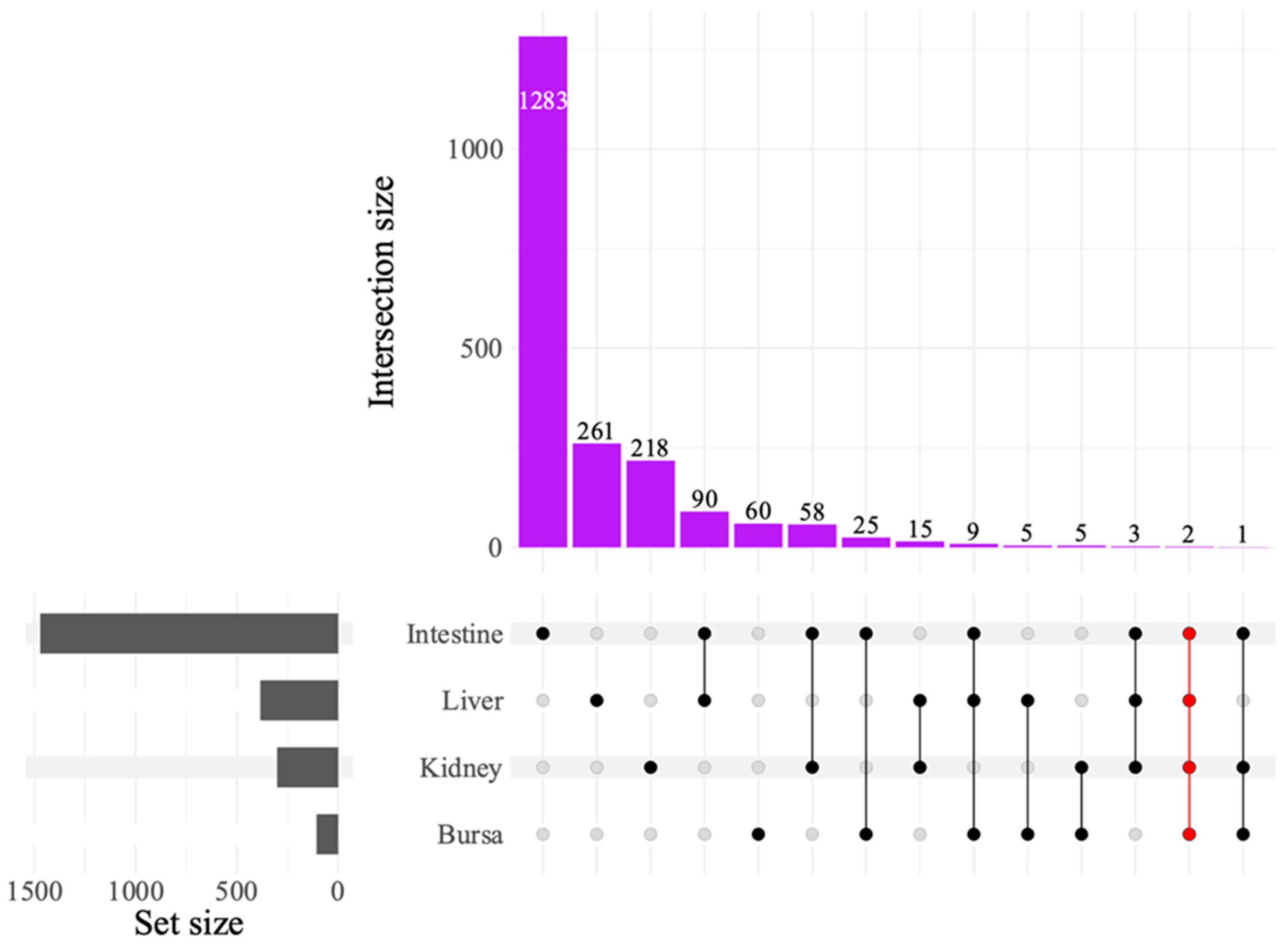 Viruses 17 00646 g005