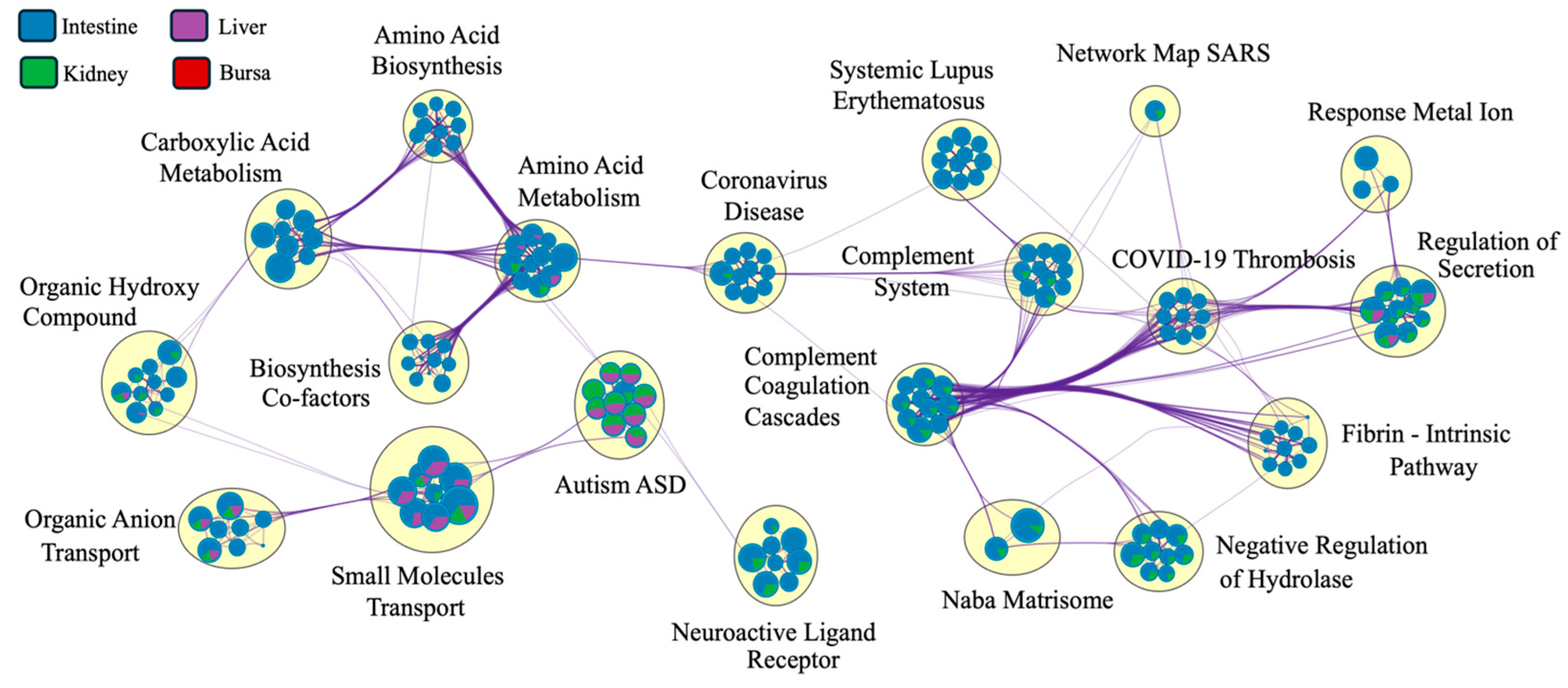 Viruses 17 00646 g008