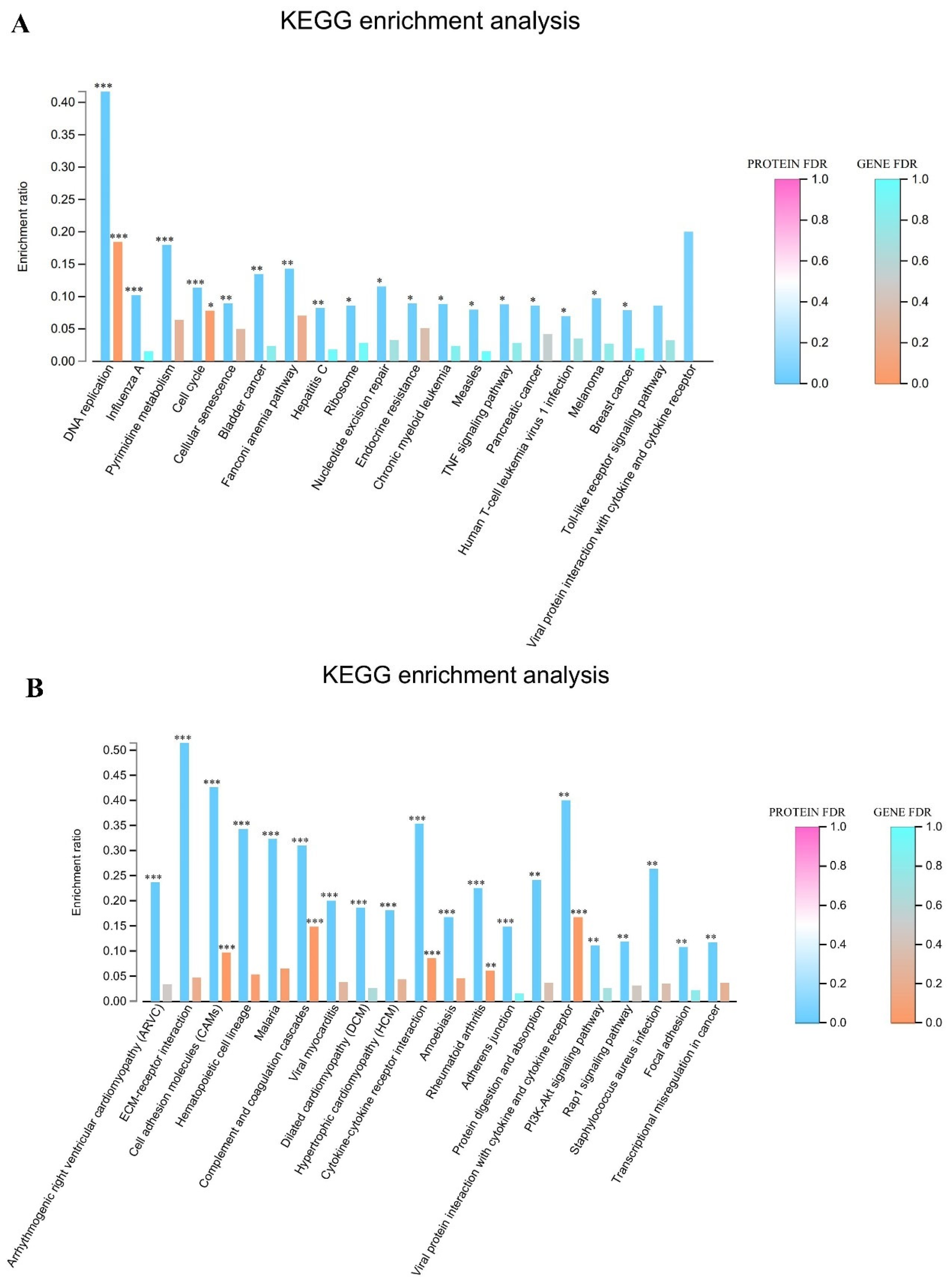 Viruses 17 00647 g004