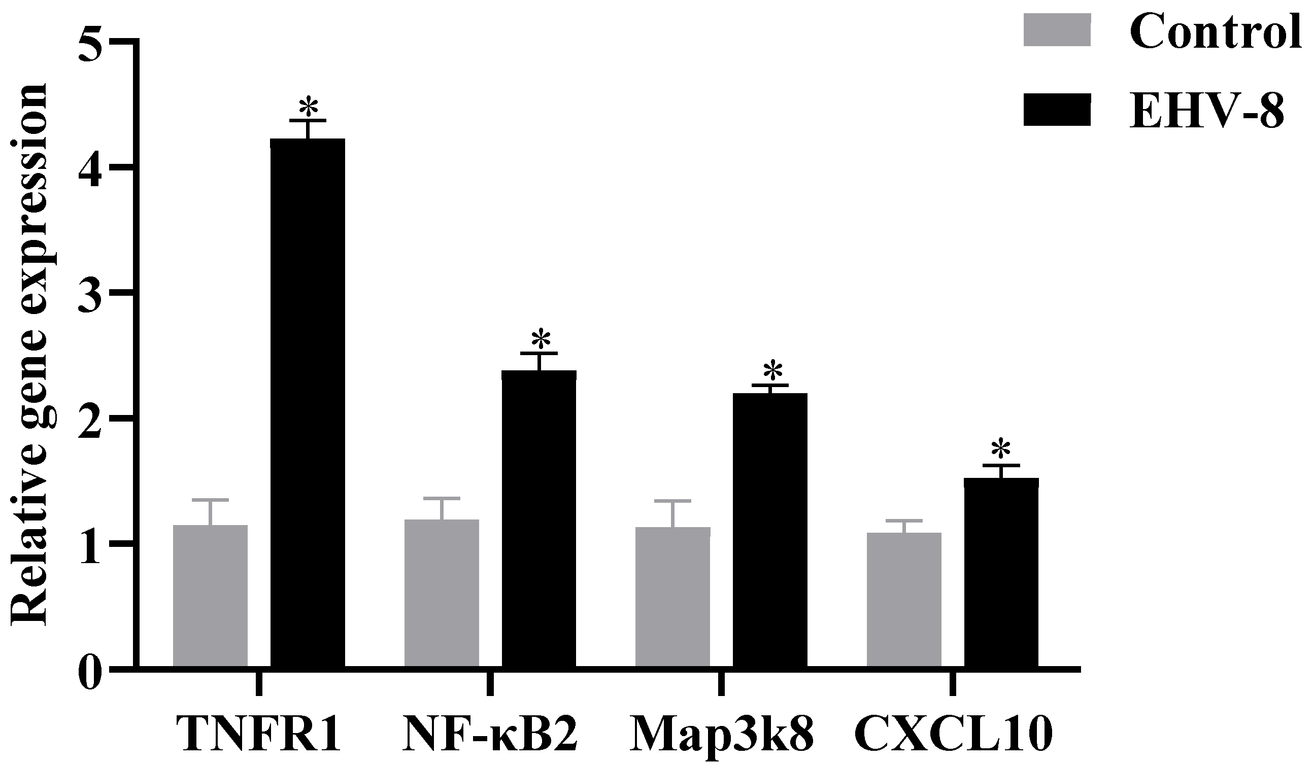 Viruses 17 00647 g005