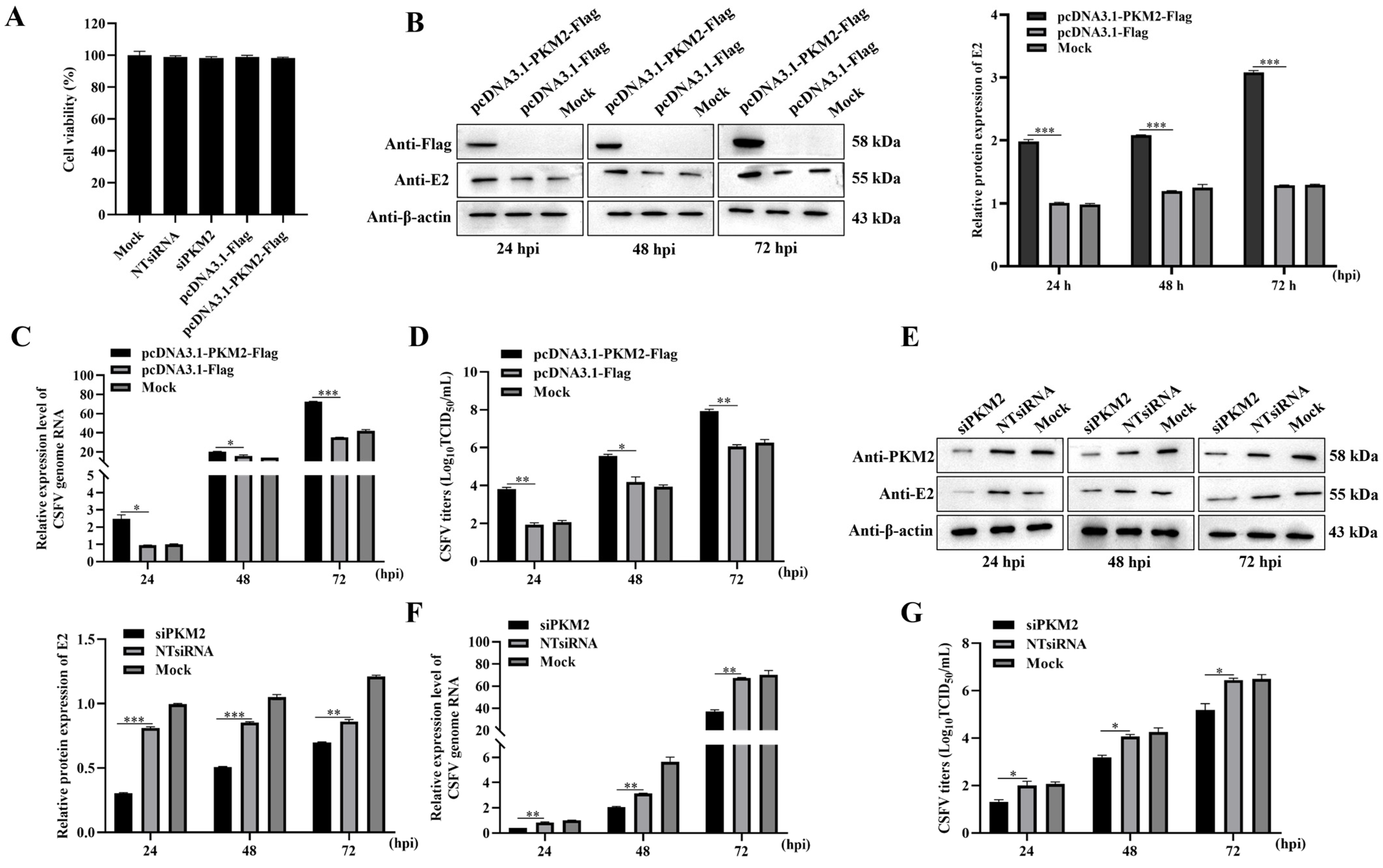 Viruses 17 00648 g001