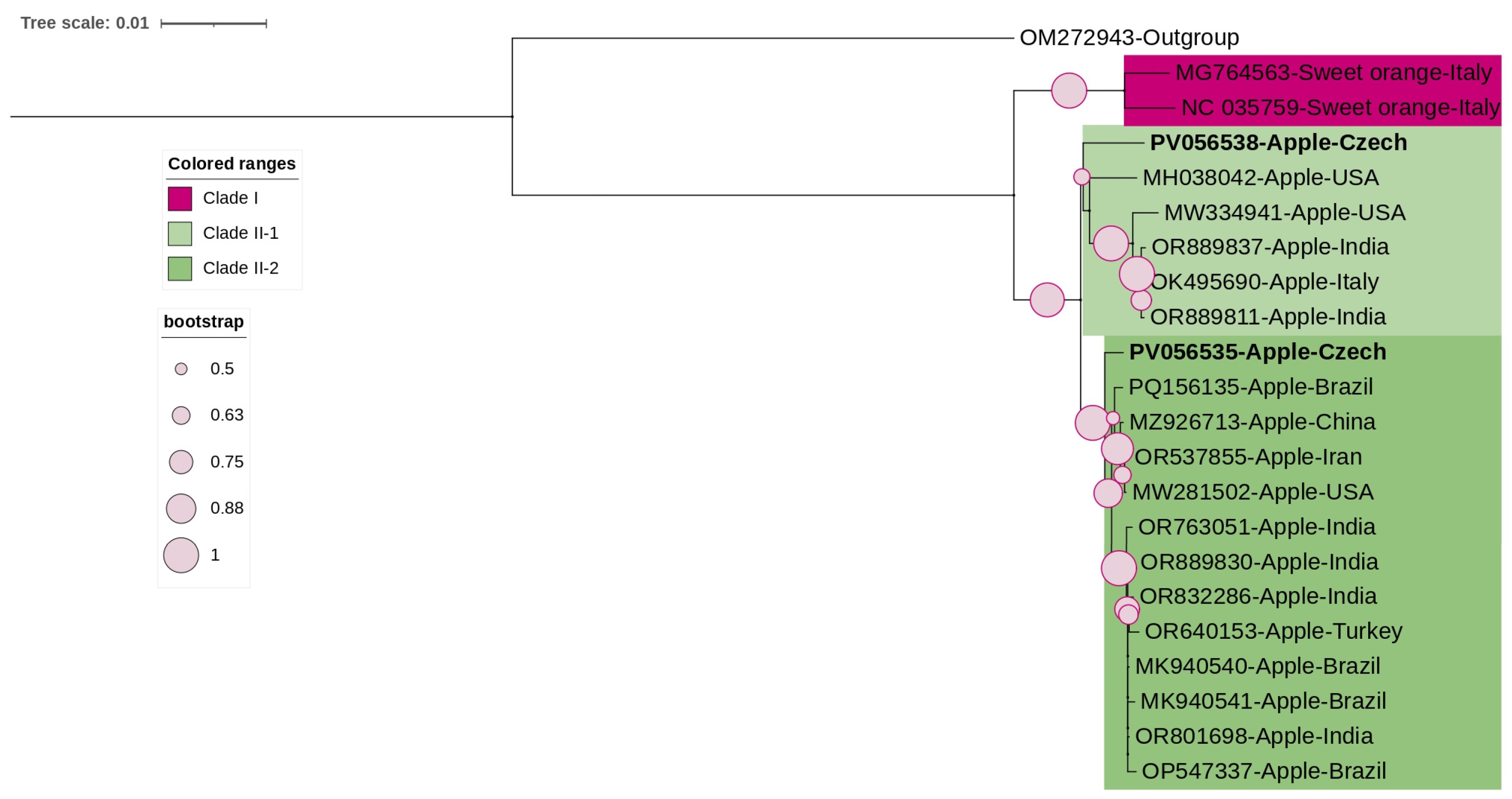 Viruses 17 00650 g005