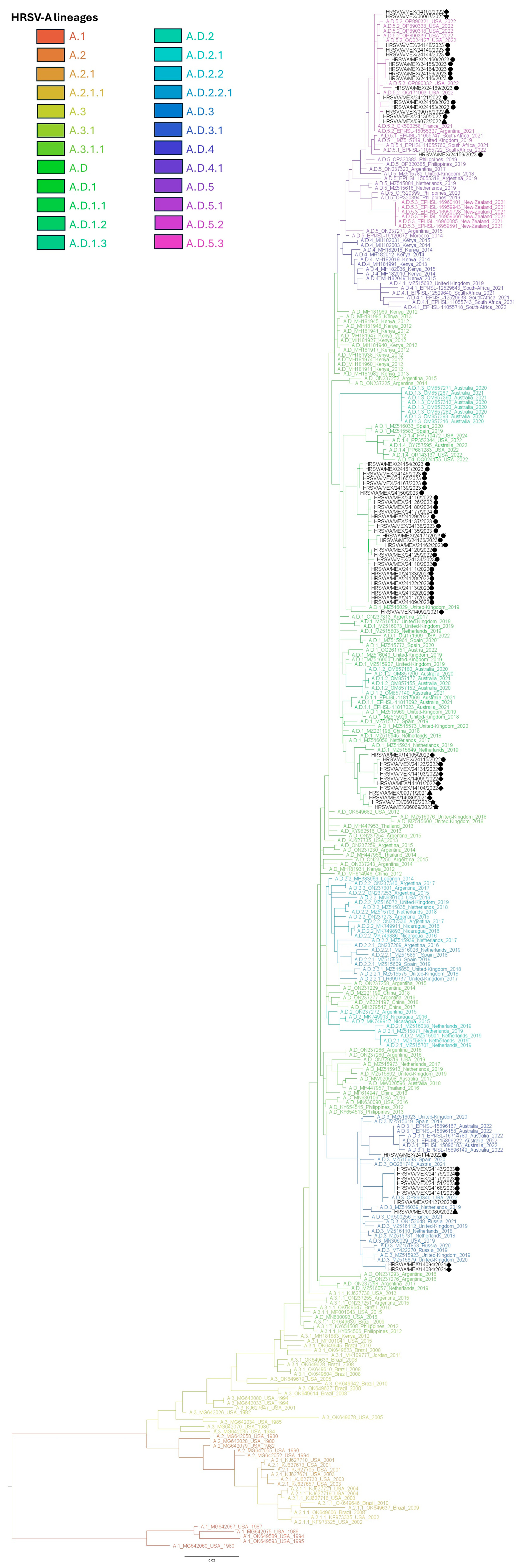 Viruses 17 00651 g002