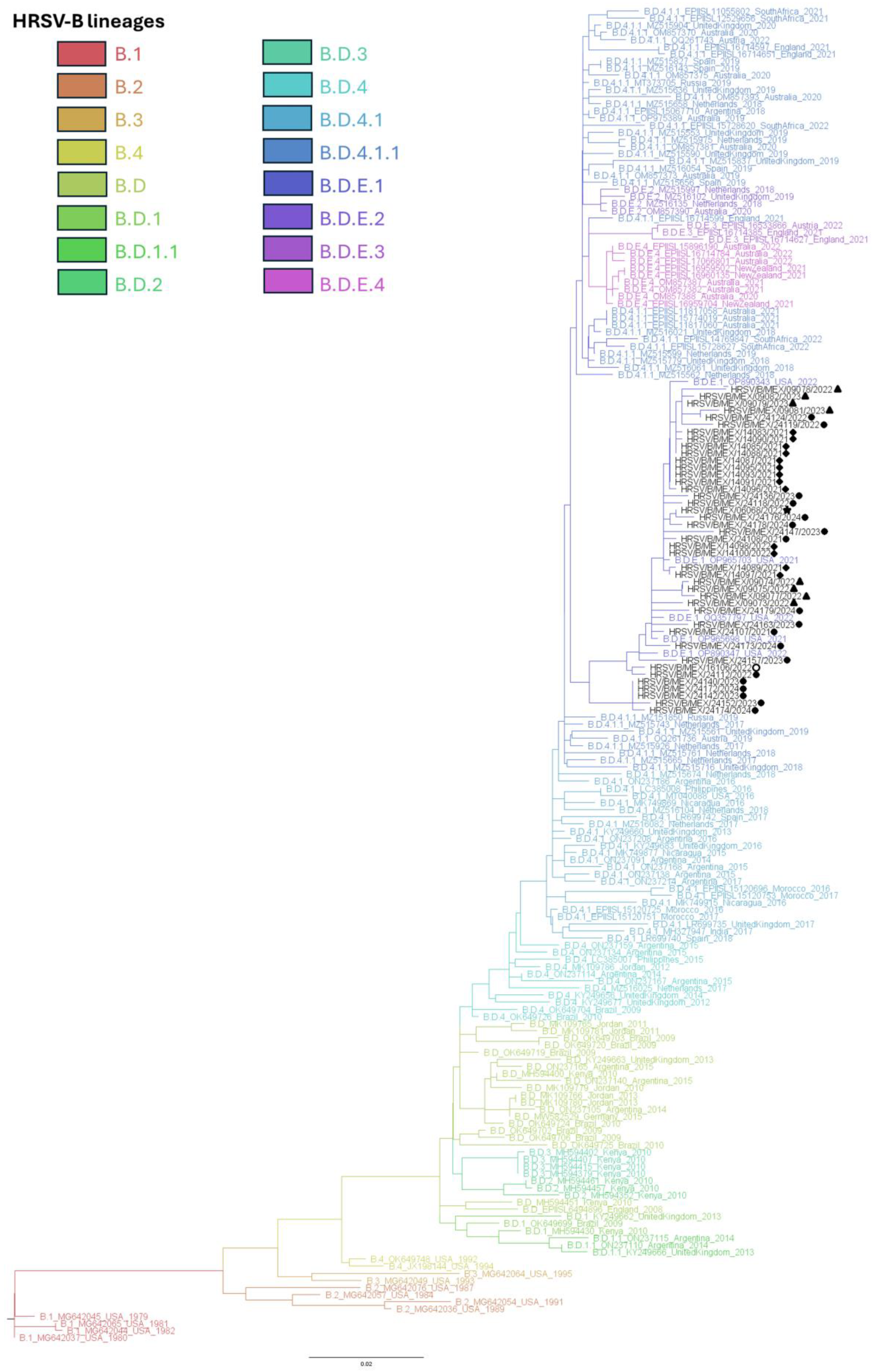 Viruses 17 00651 g003
