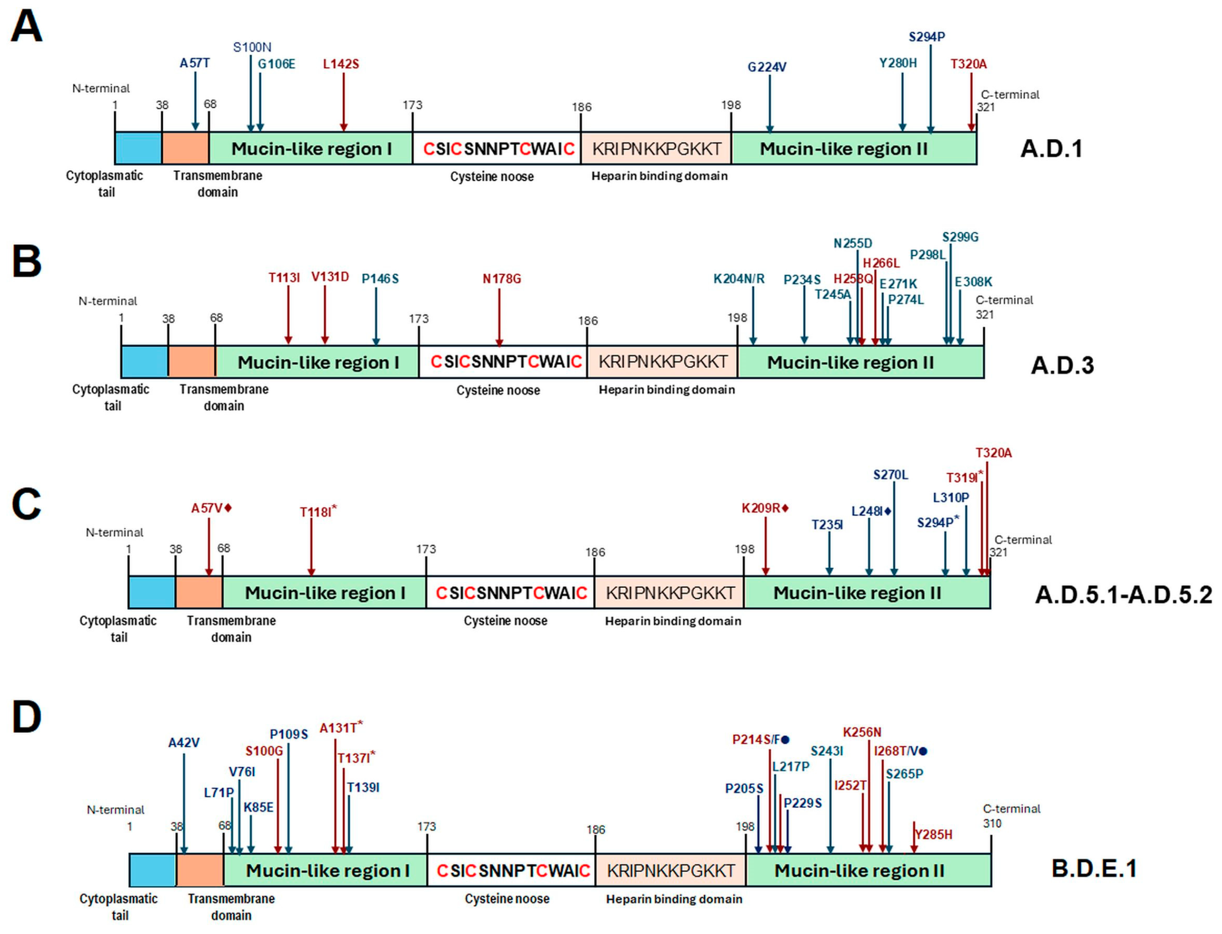 Viruses 17 00651 g005