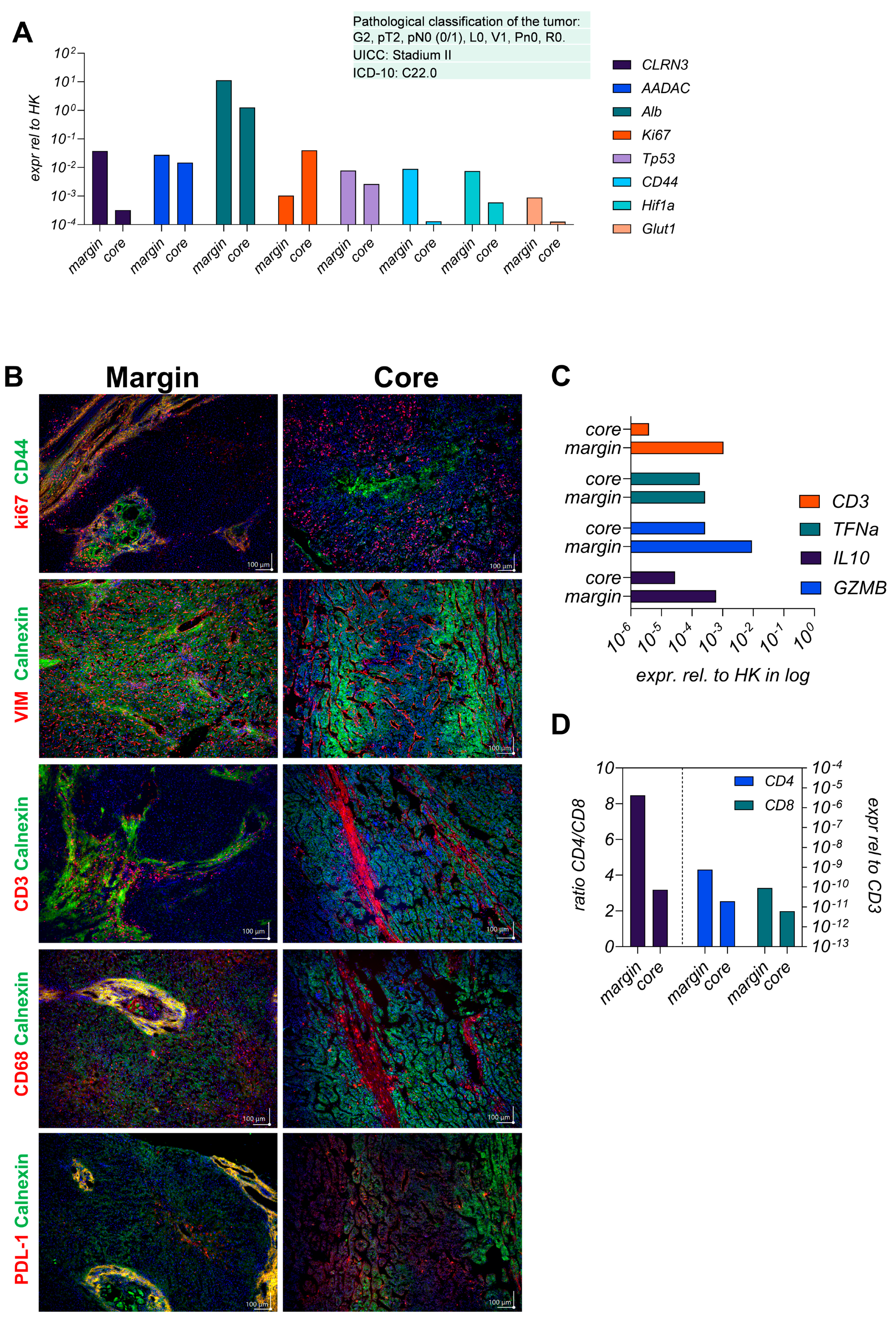 Viruses 17 00653 g001