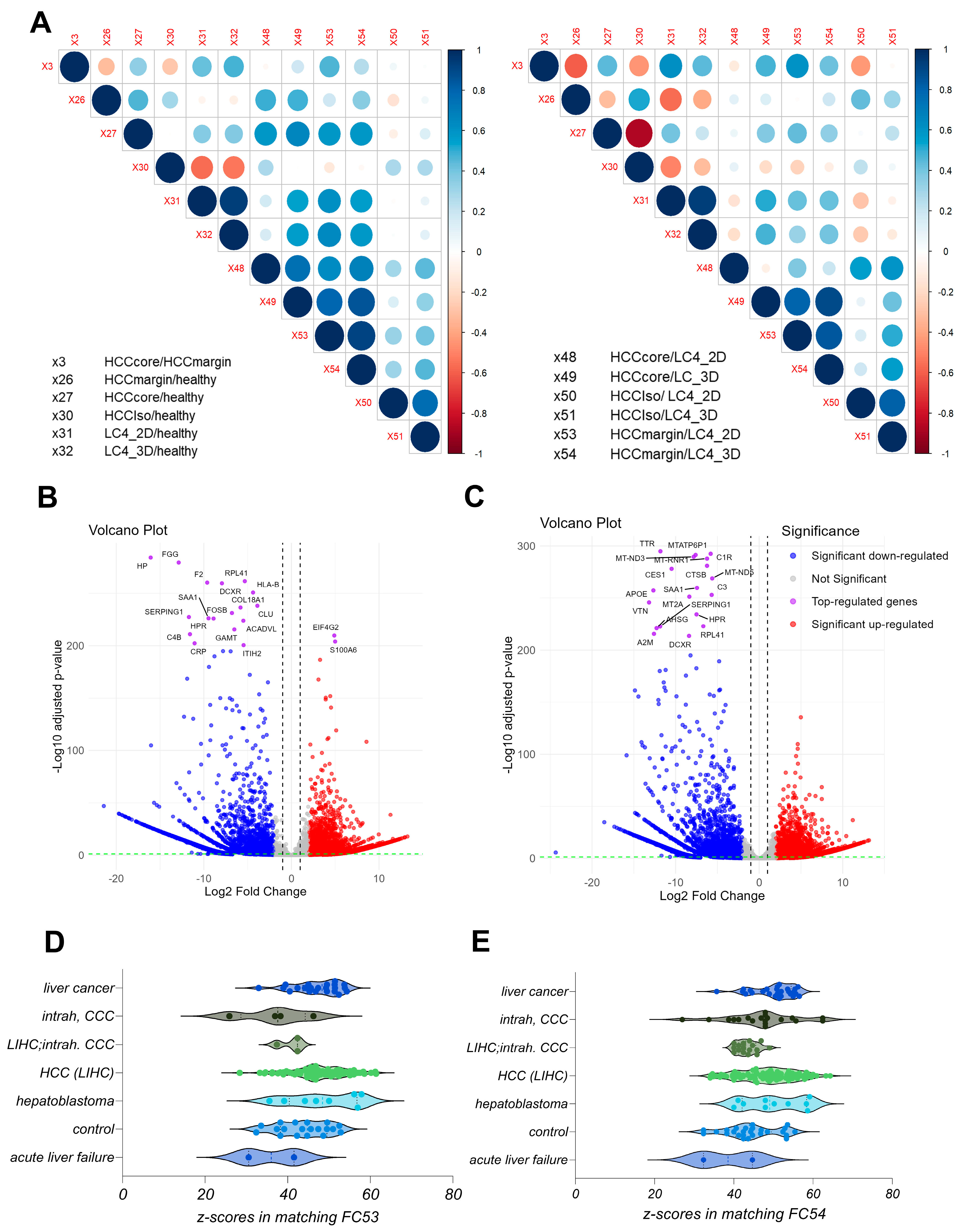 Viruses 17 00653 g003