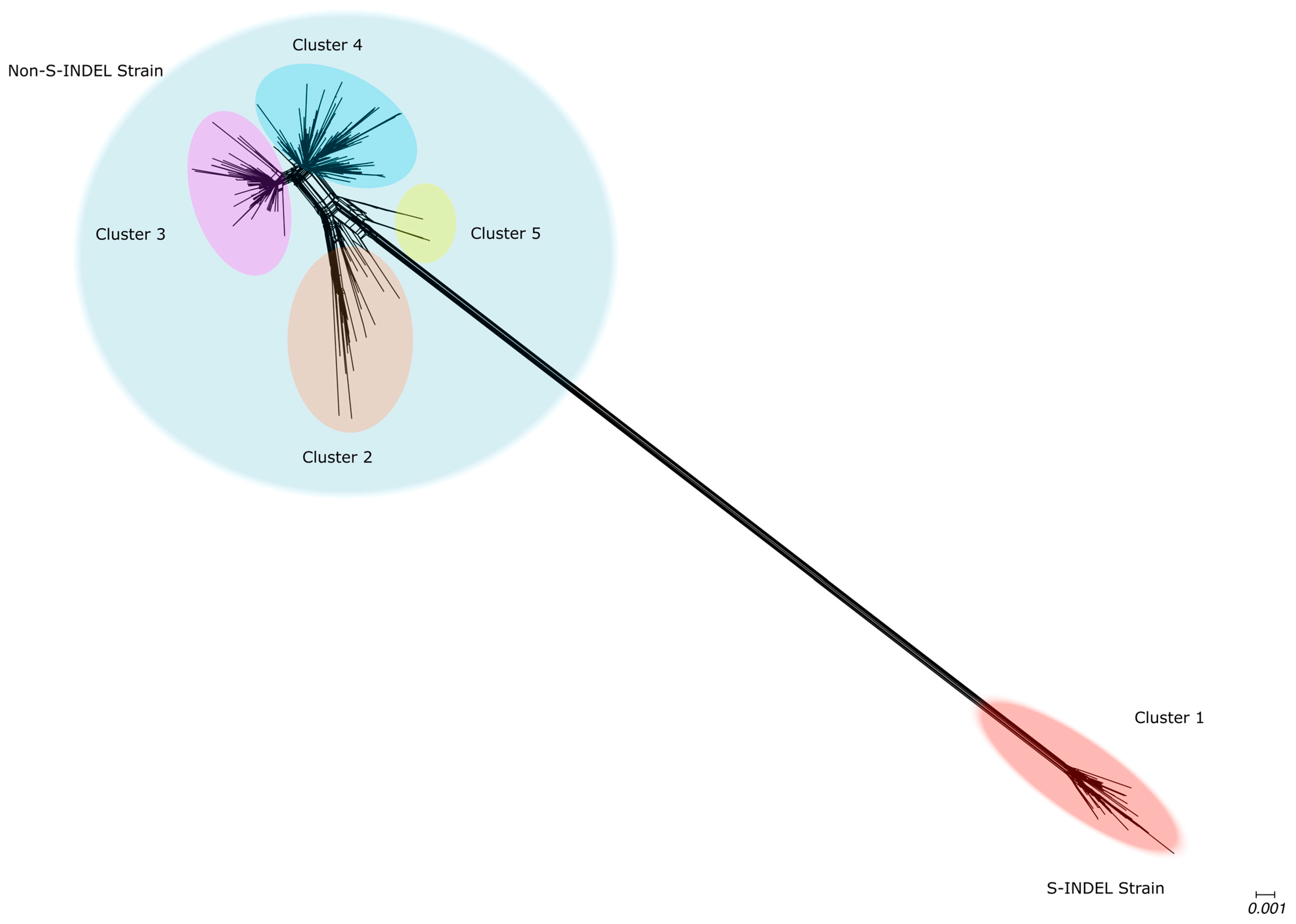 Viruses 17 00654 g003
