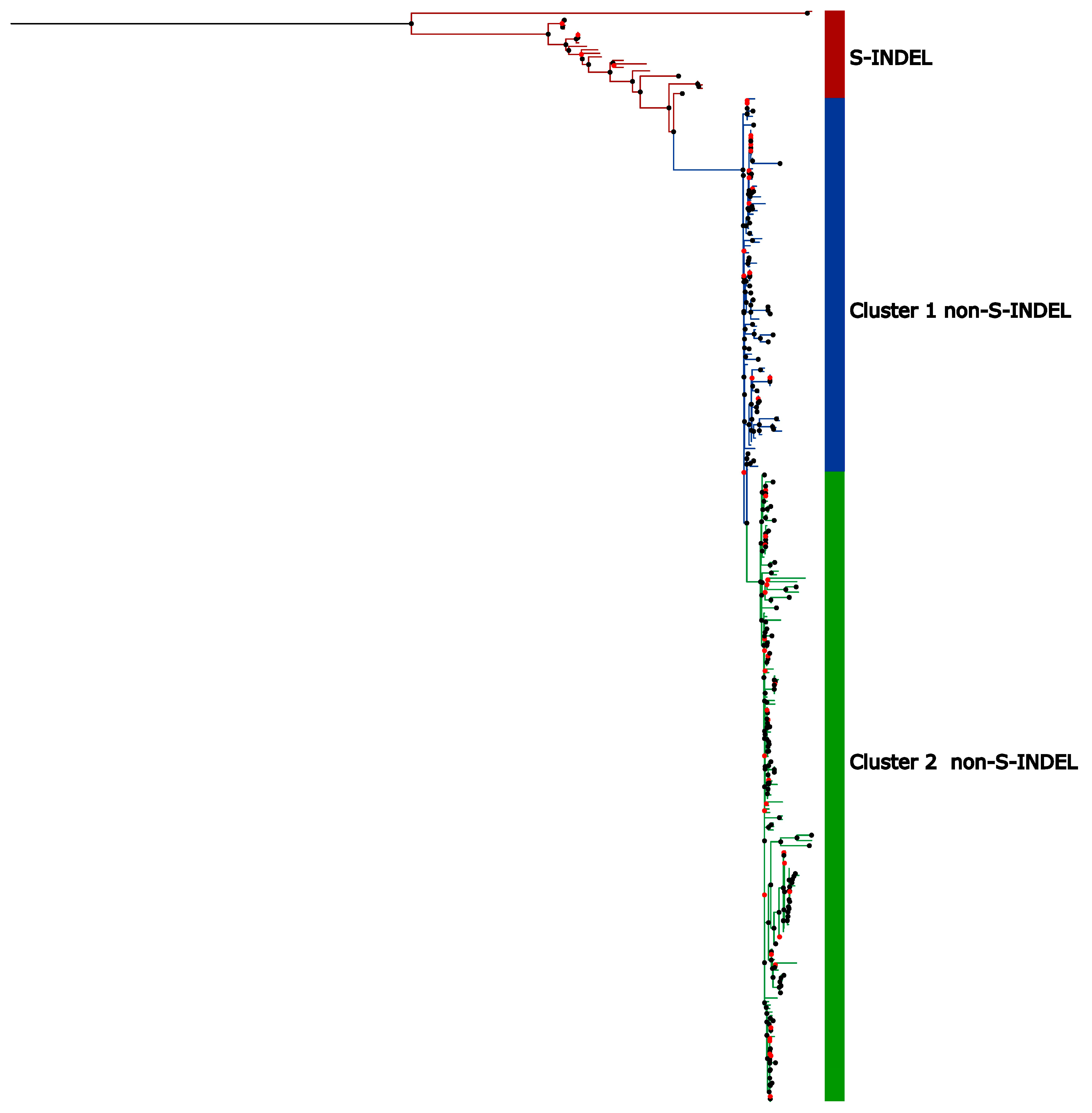 Viruses 17 00654 g004
