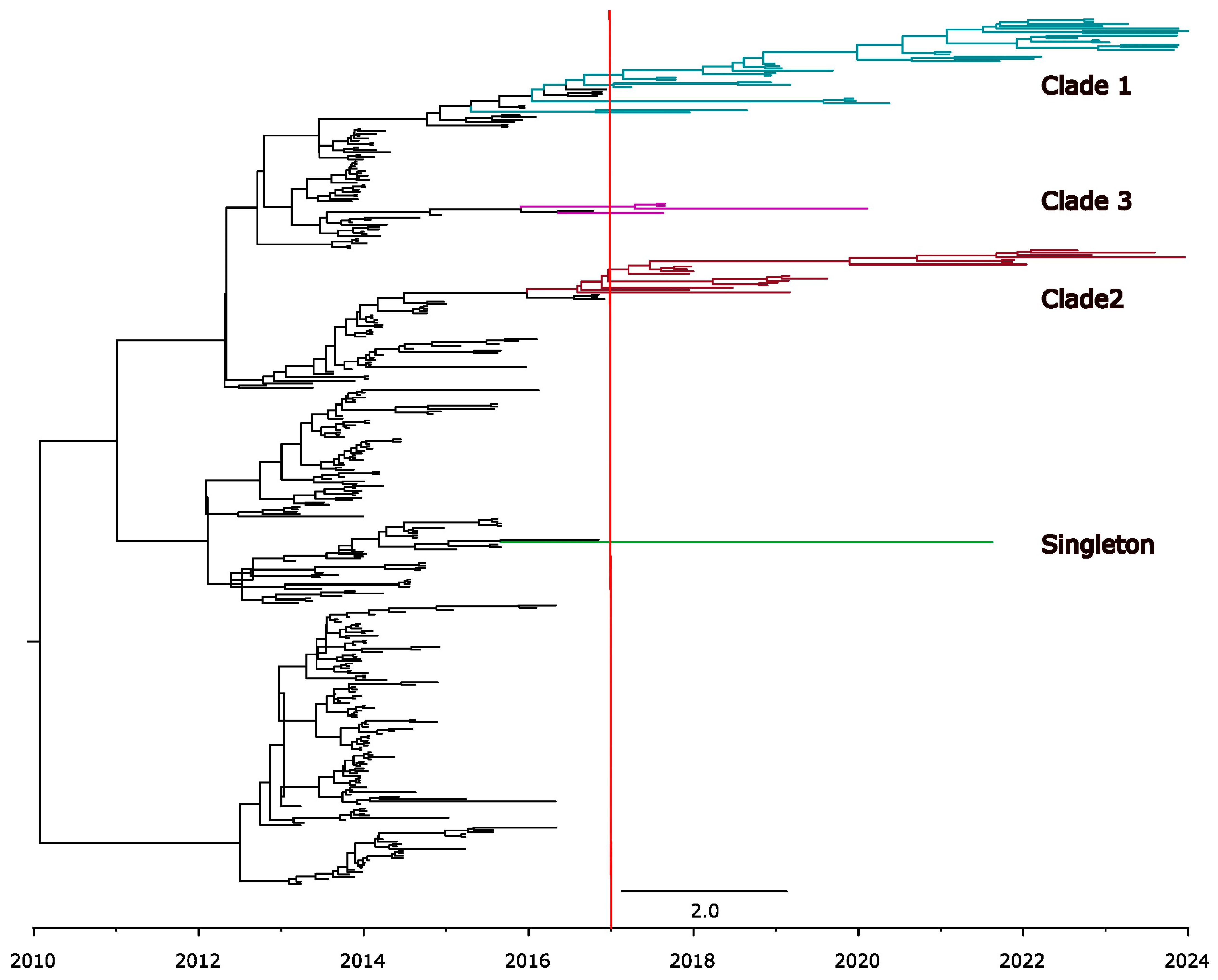 Viruses 17 00654 g005
