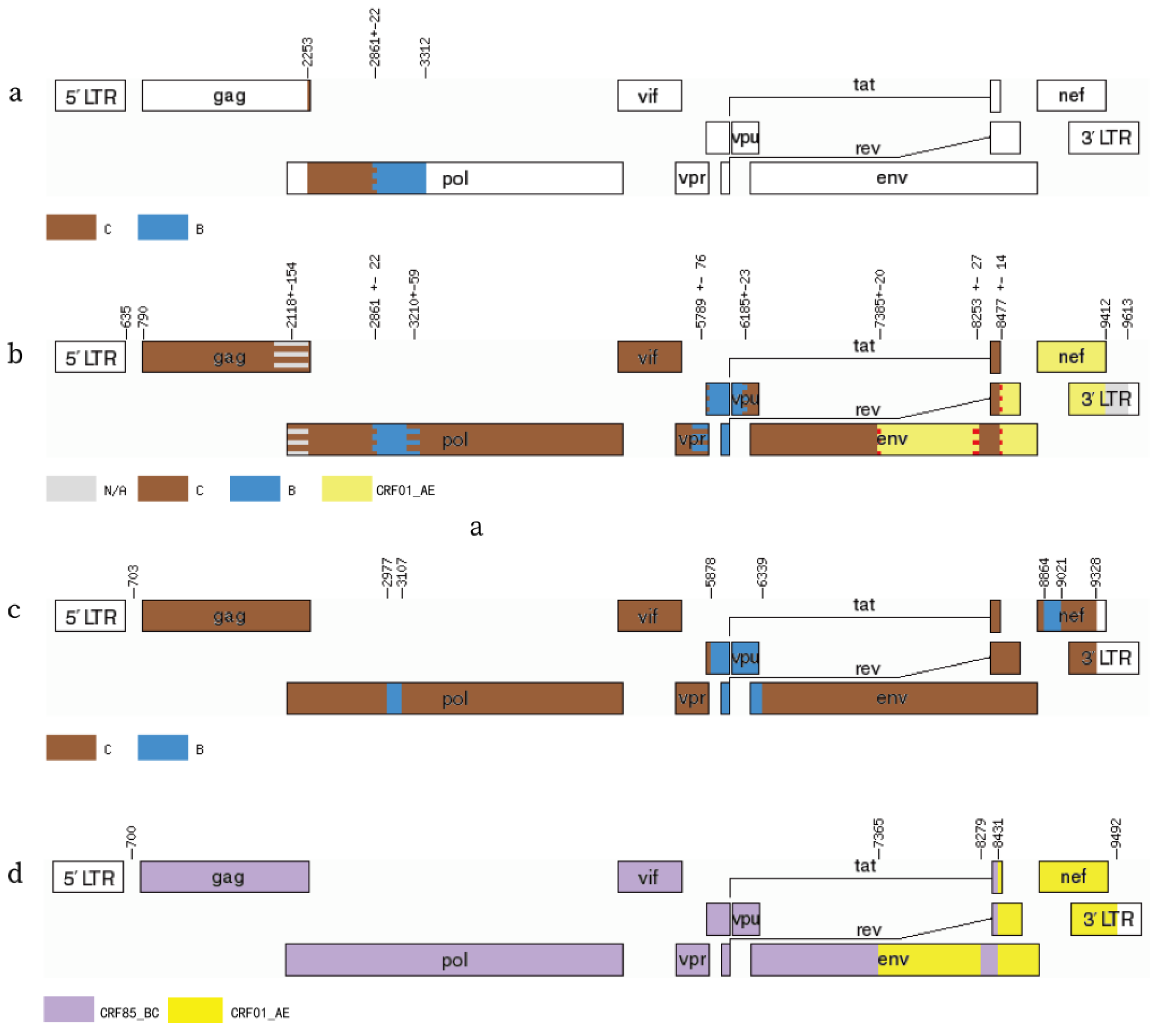 Viruses 17 00655 g002