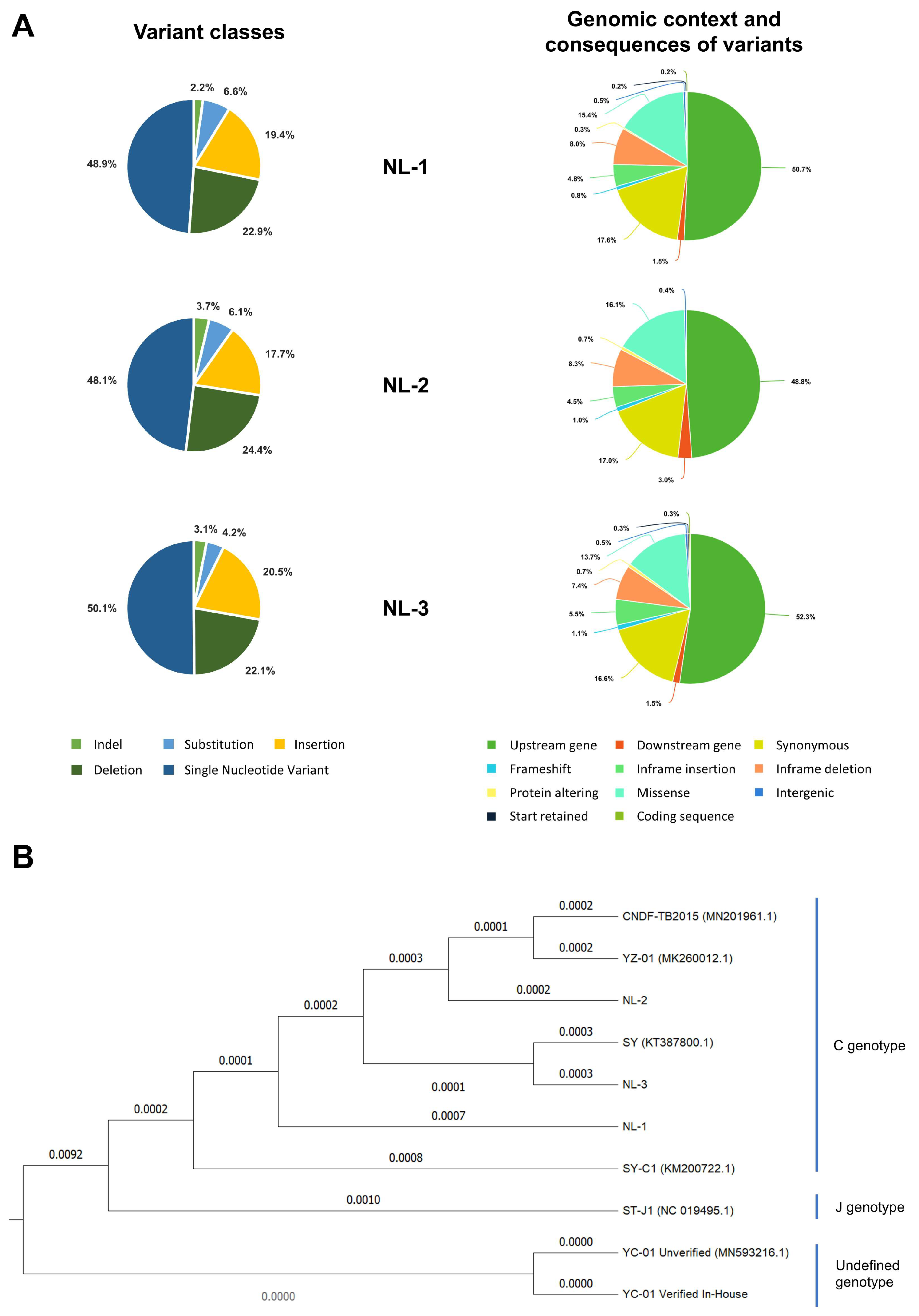 Viruses 17 00658 g003