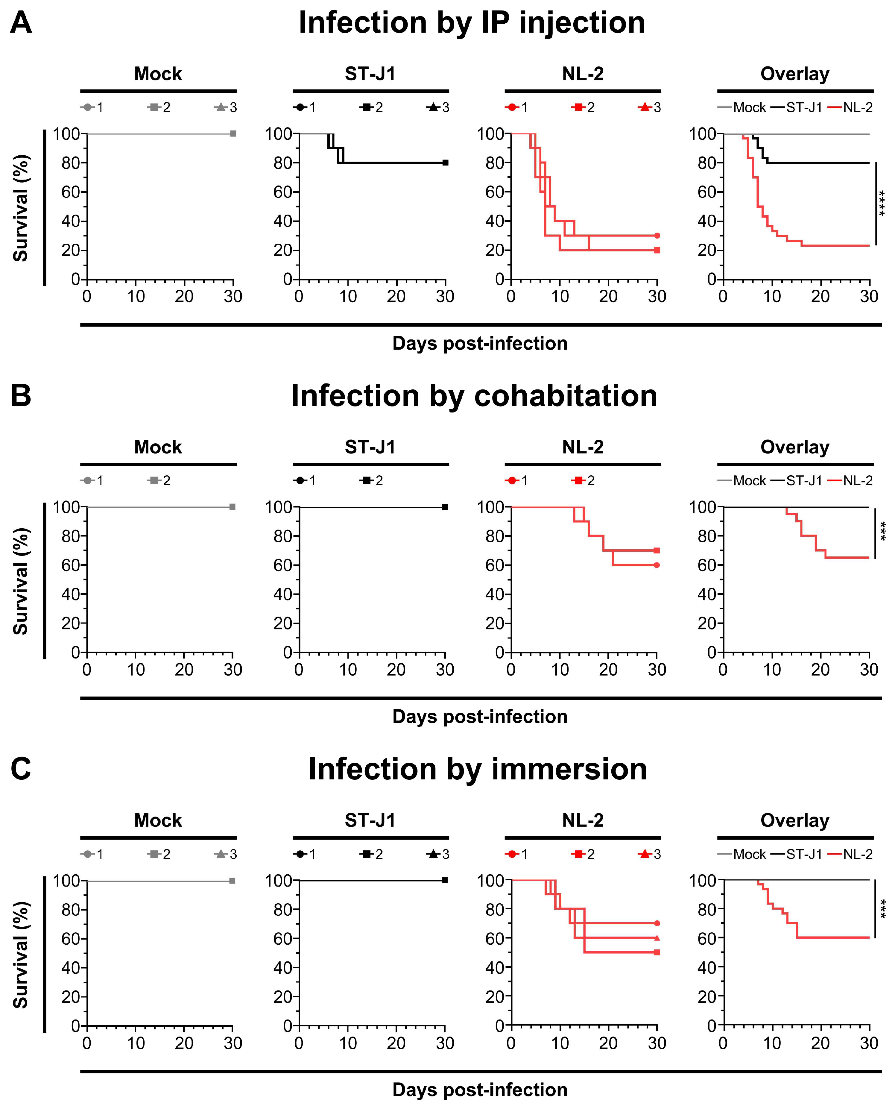 Viruses 17 00658 g007
