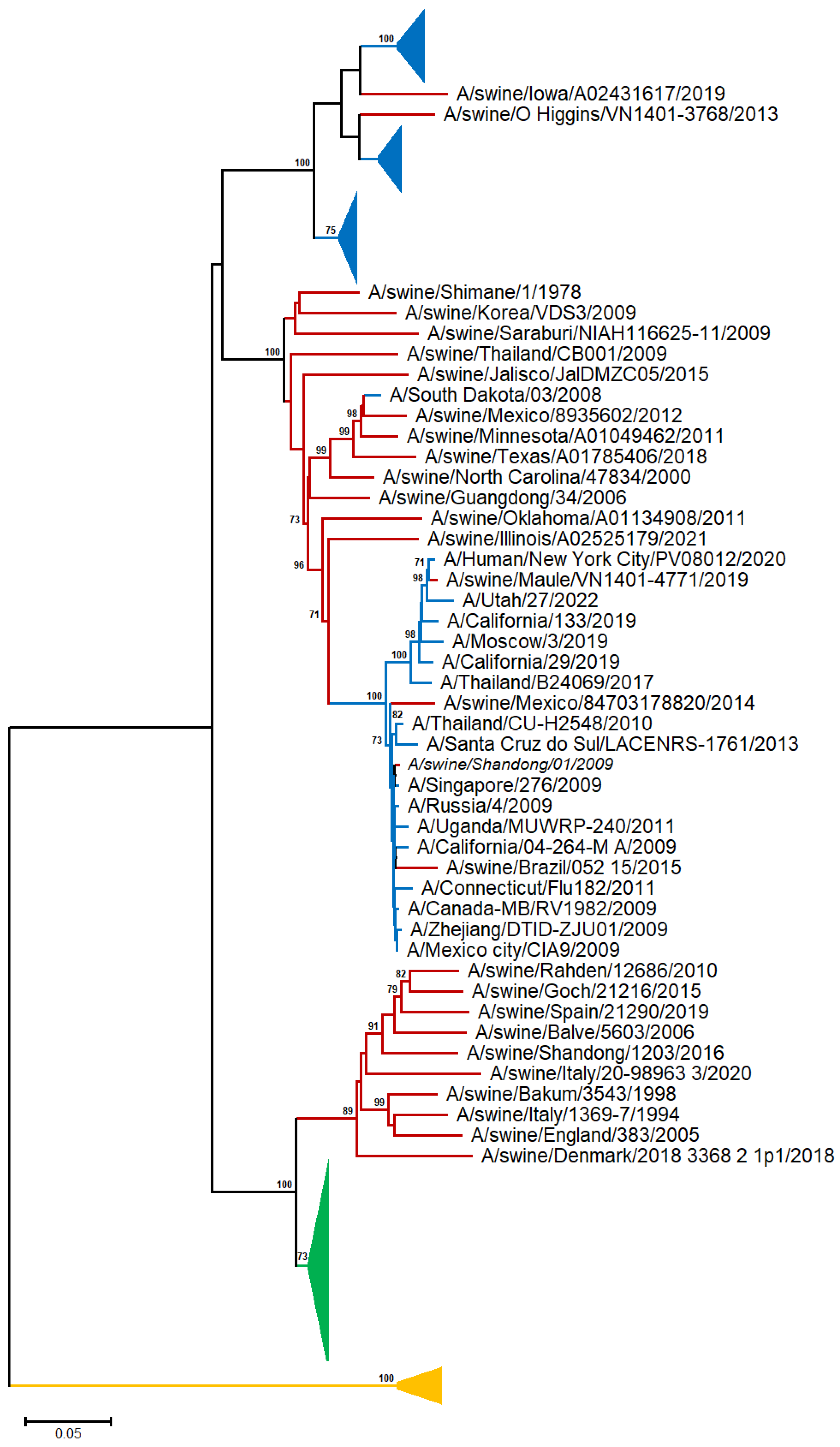 Viruses 17 00659 g001