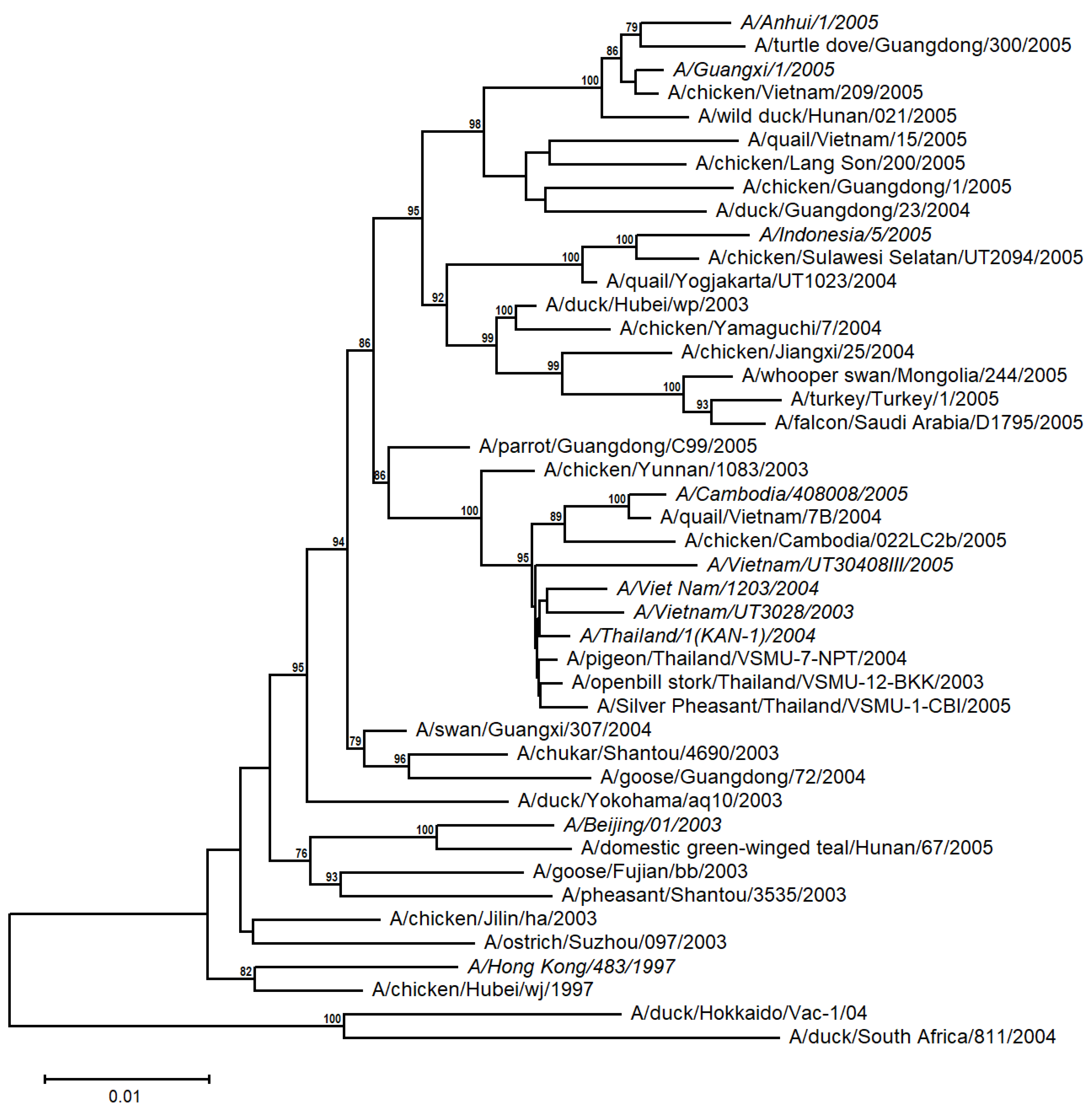 Viruses 17 00659 g002