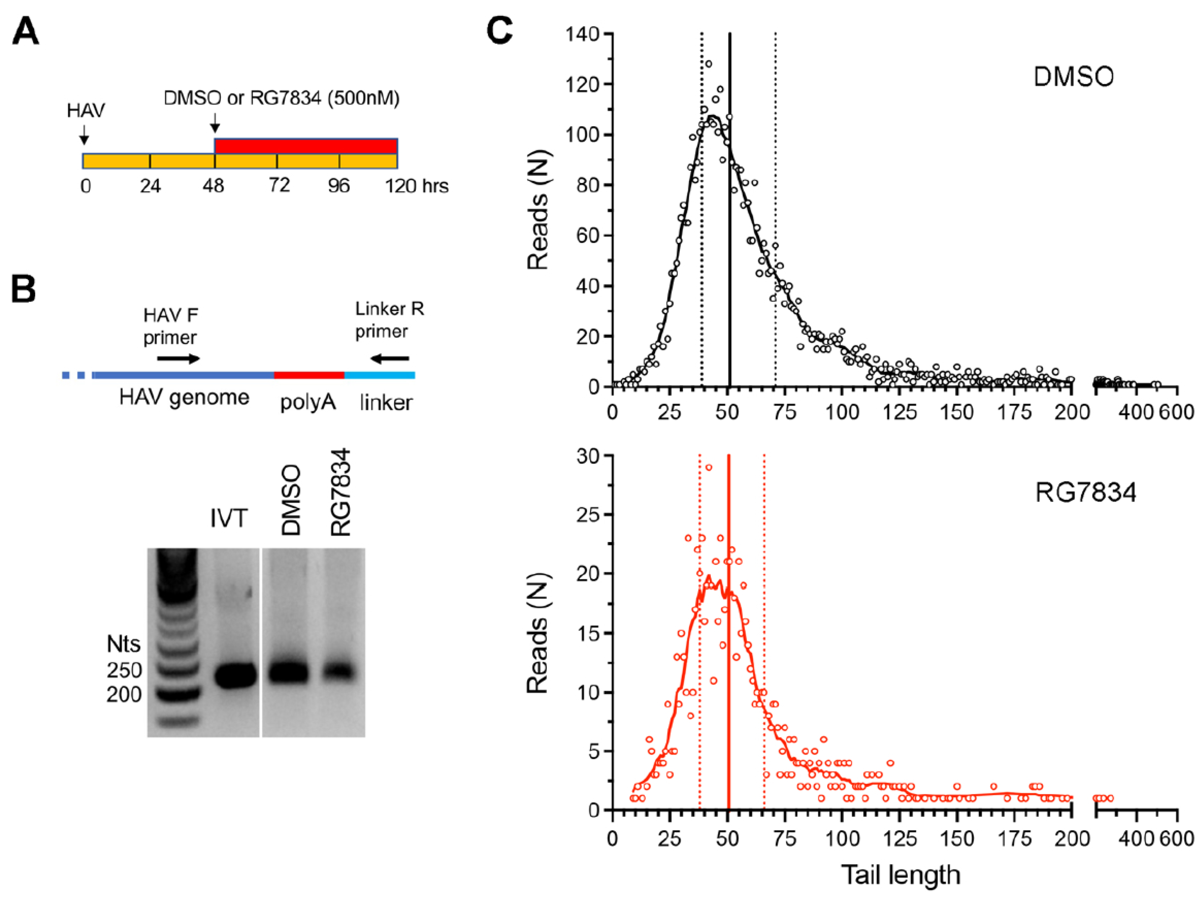 Viruses 17 00665 g002