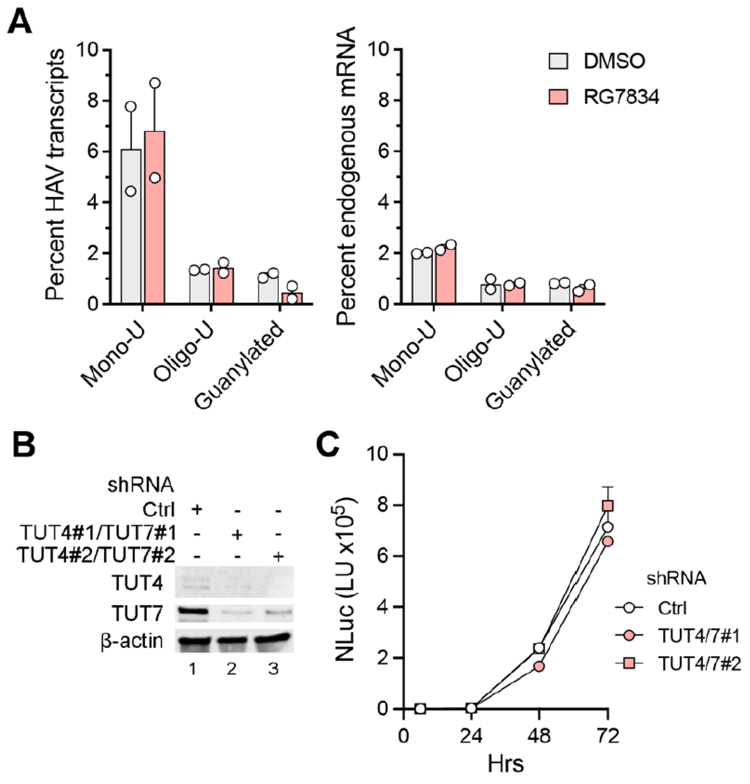Viruses 17 00665 g003