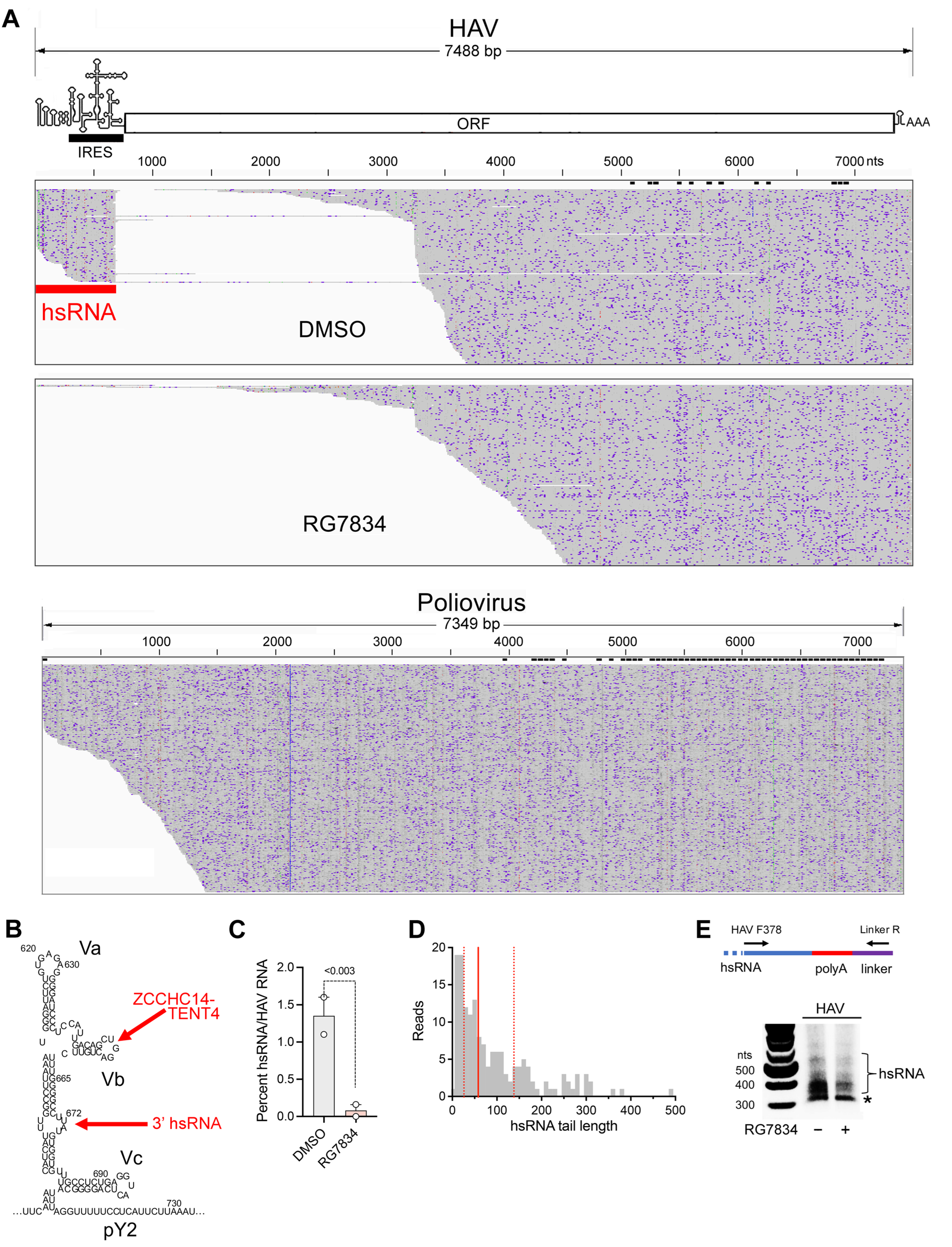 Viruses 17 00665 g004