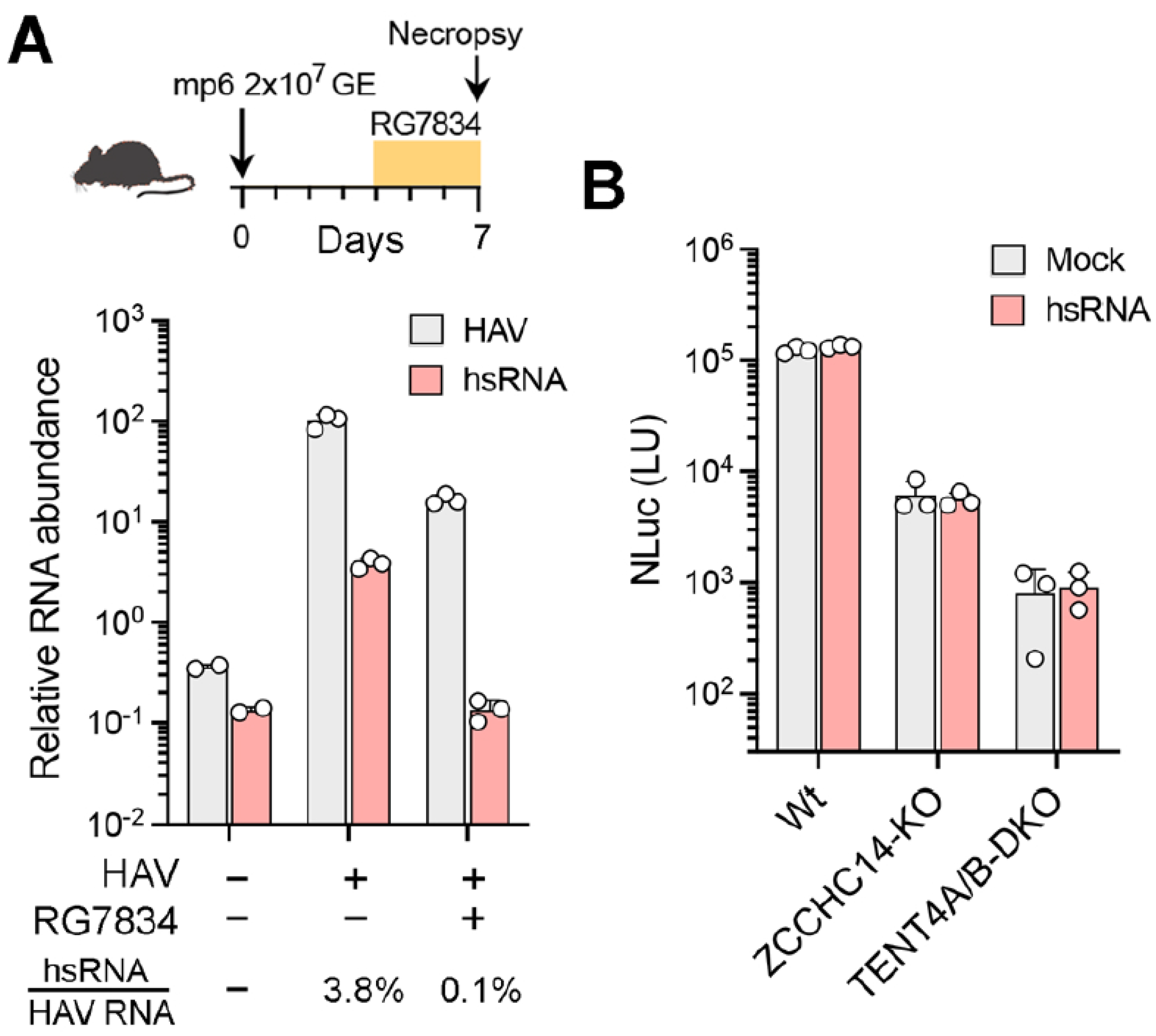 Viruses 17 00665 g006