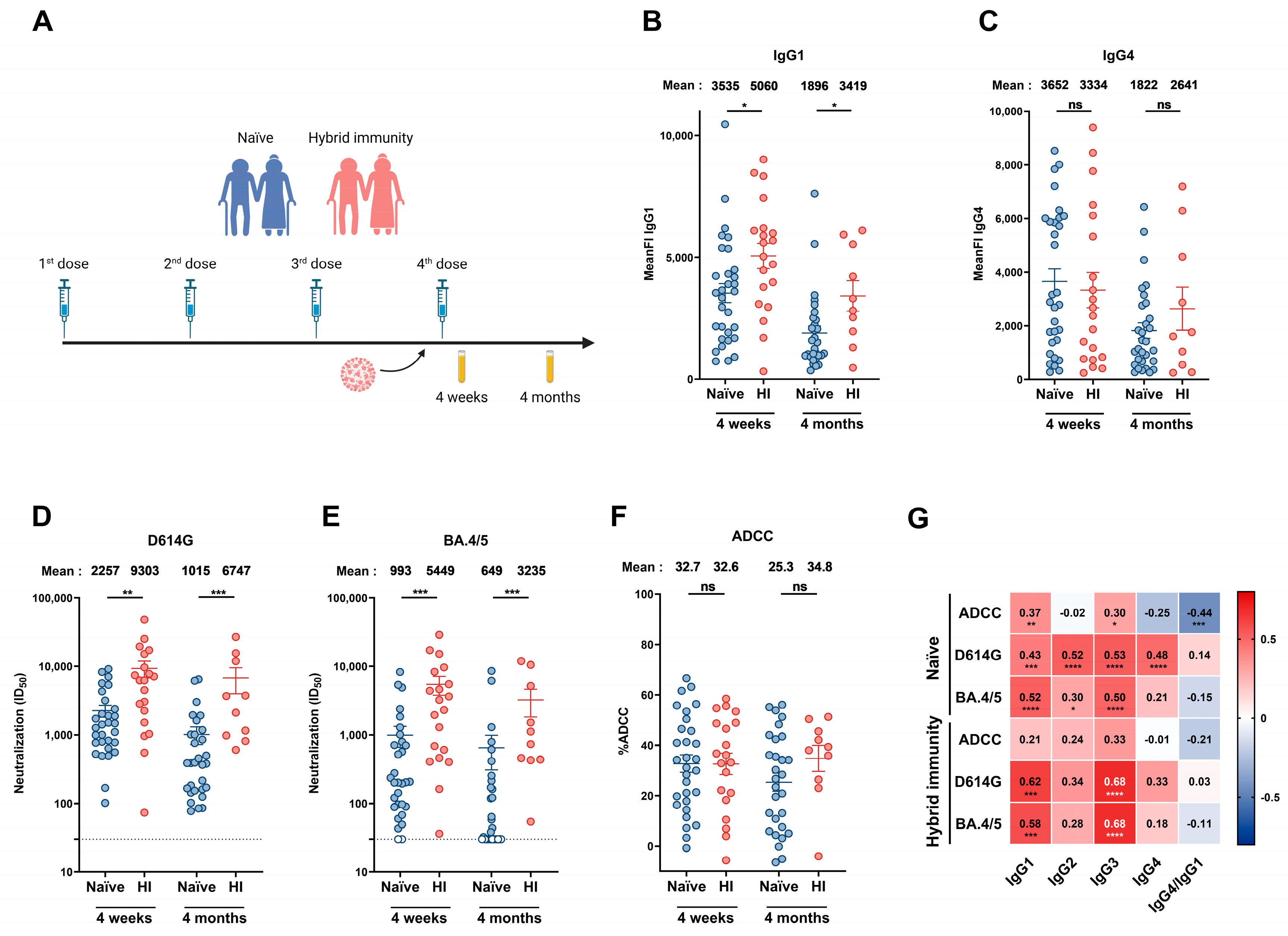 Viruses 17 00666 g002