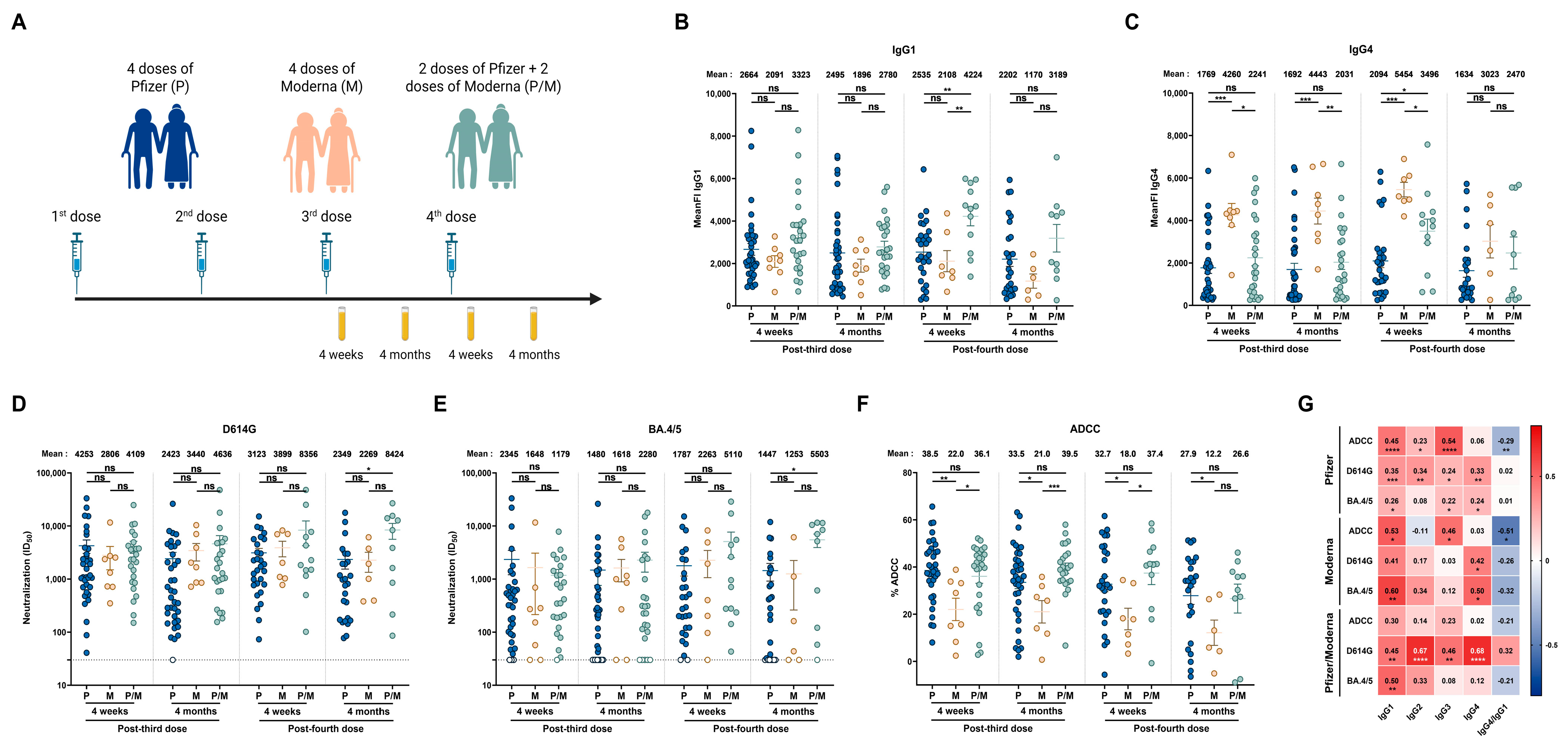 Viruses 17 00666 g003