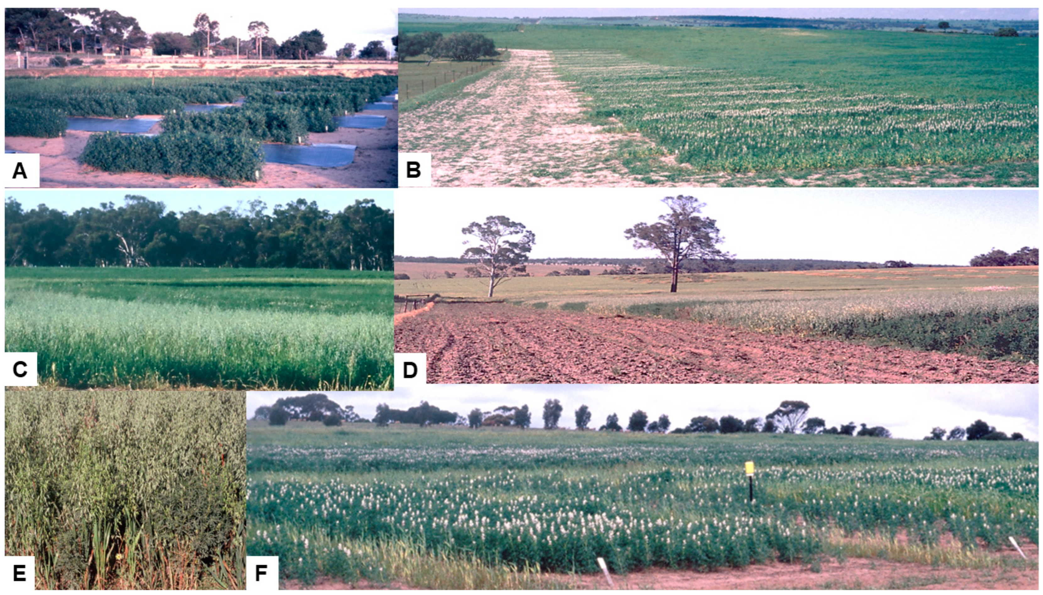 Viruses 17 00668 g005