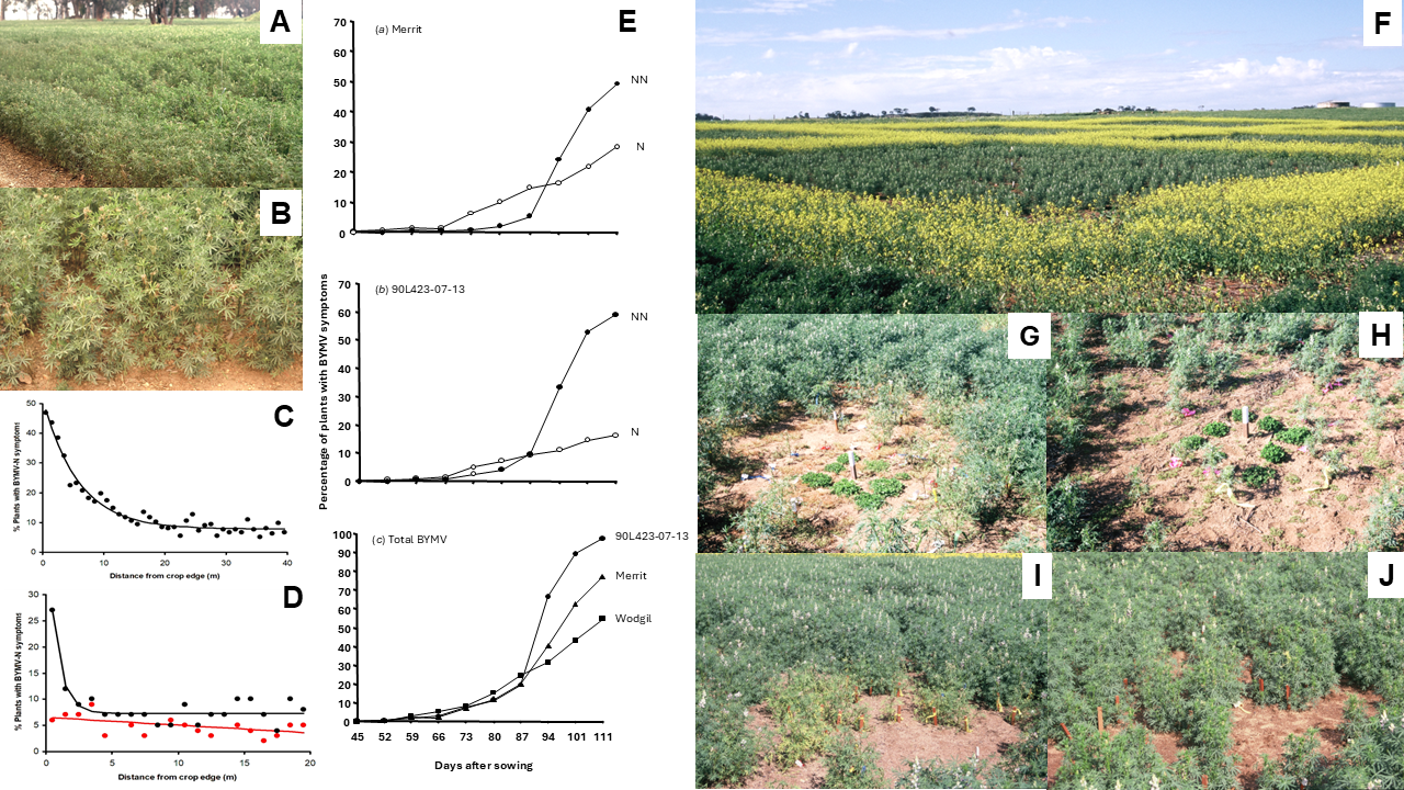Viruses 17 00668 g008